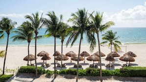 A beach with rows of palm trees and thatched umbrellas, providing shade for beach chairs.