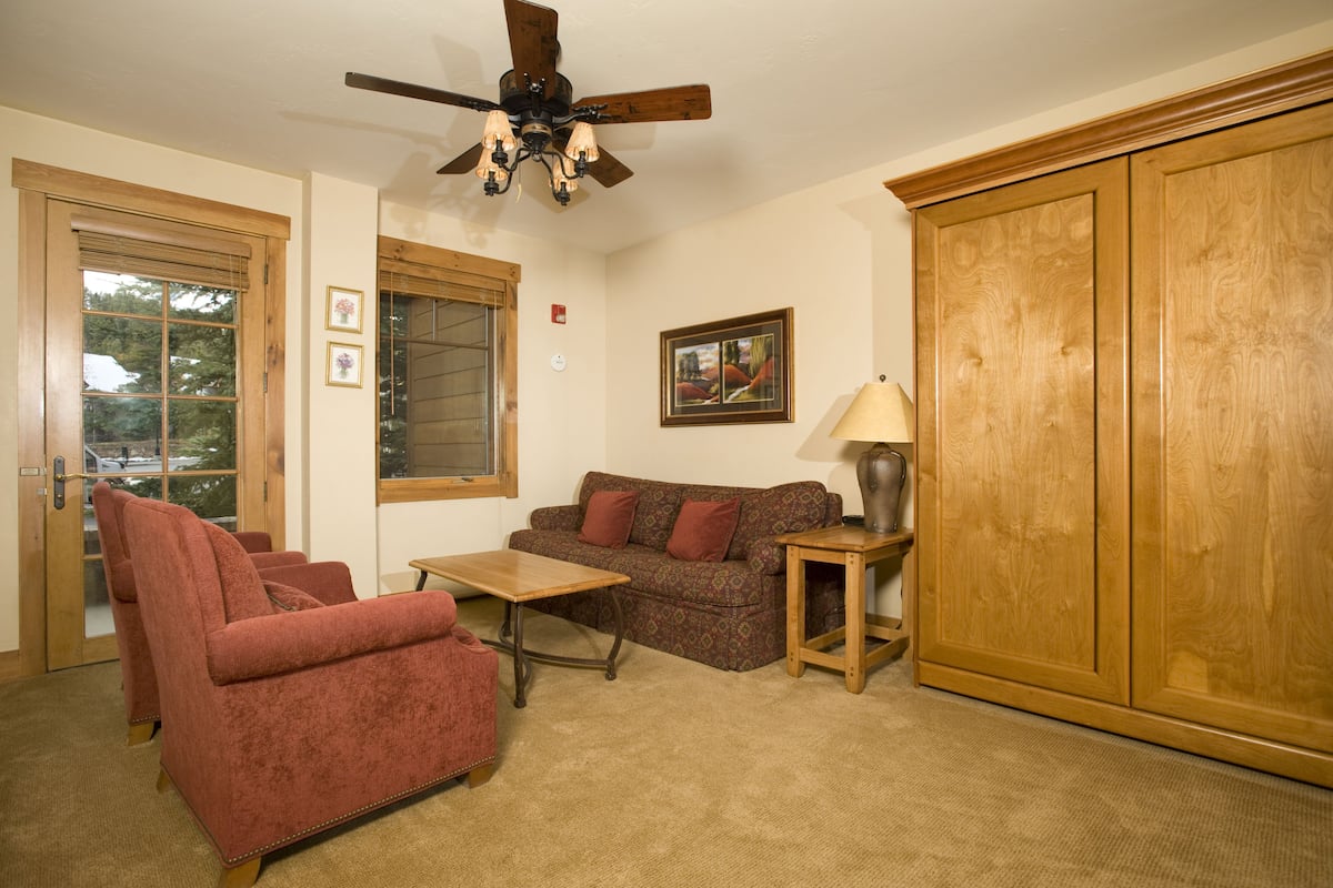 Televisión 30 pulgadas con canales de televisión por cable, chimenea