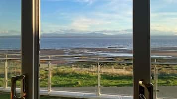 Vista a través de una ventana con marco metálico, que da a una zona cubierta de hierba y un cuerpo de agua.