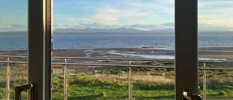 A view through a window with a metal frame, overlooking a grassy area and a body of water.