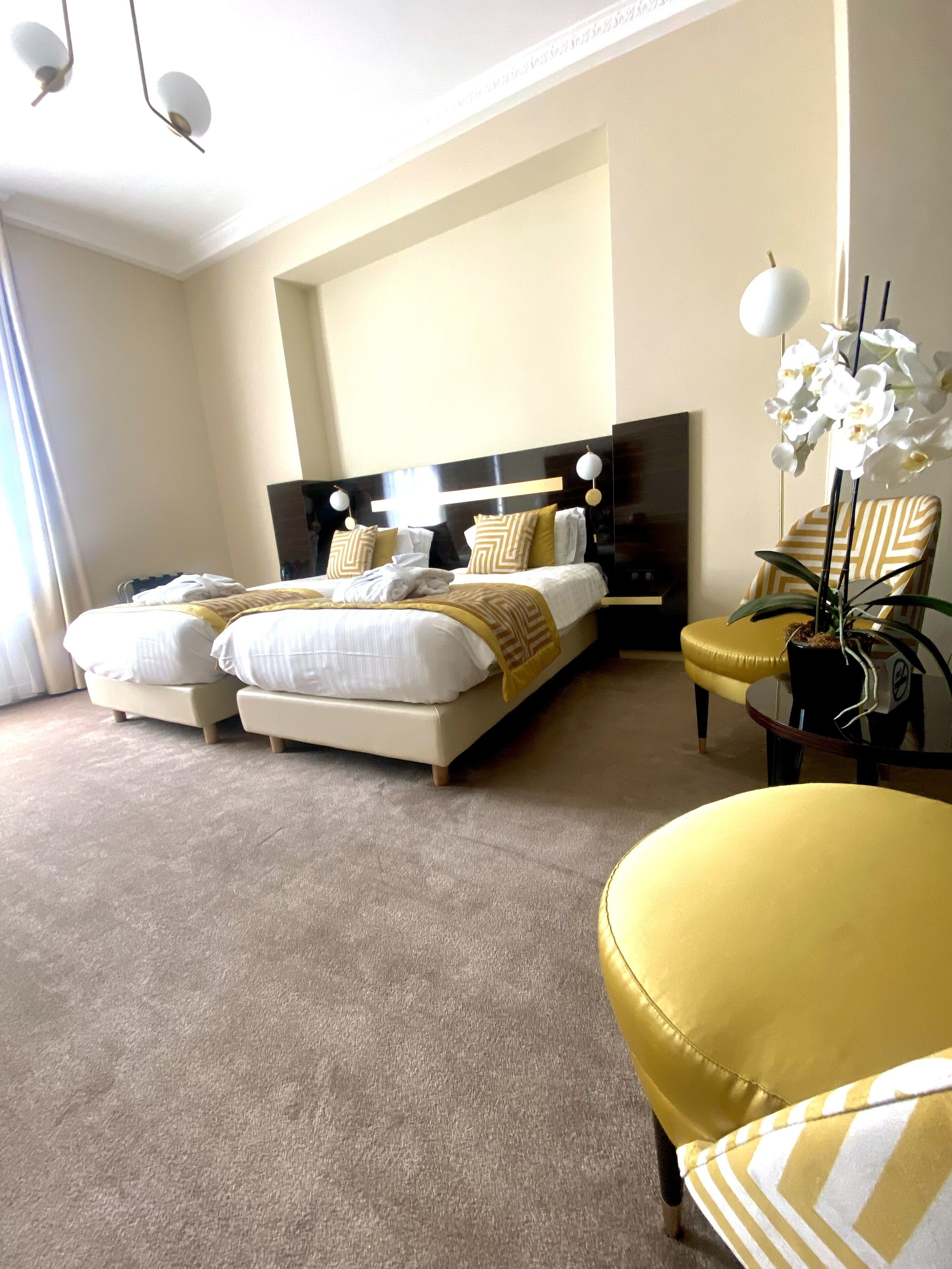 Habitación de hotel con una cama grande, una silla, un televisor y una planta en maceta.