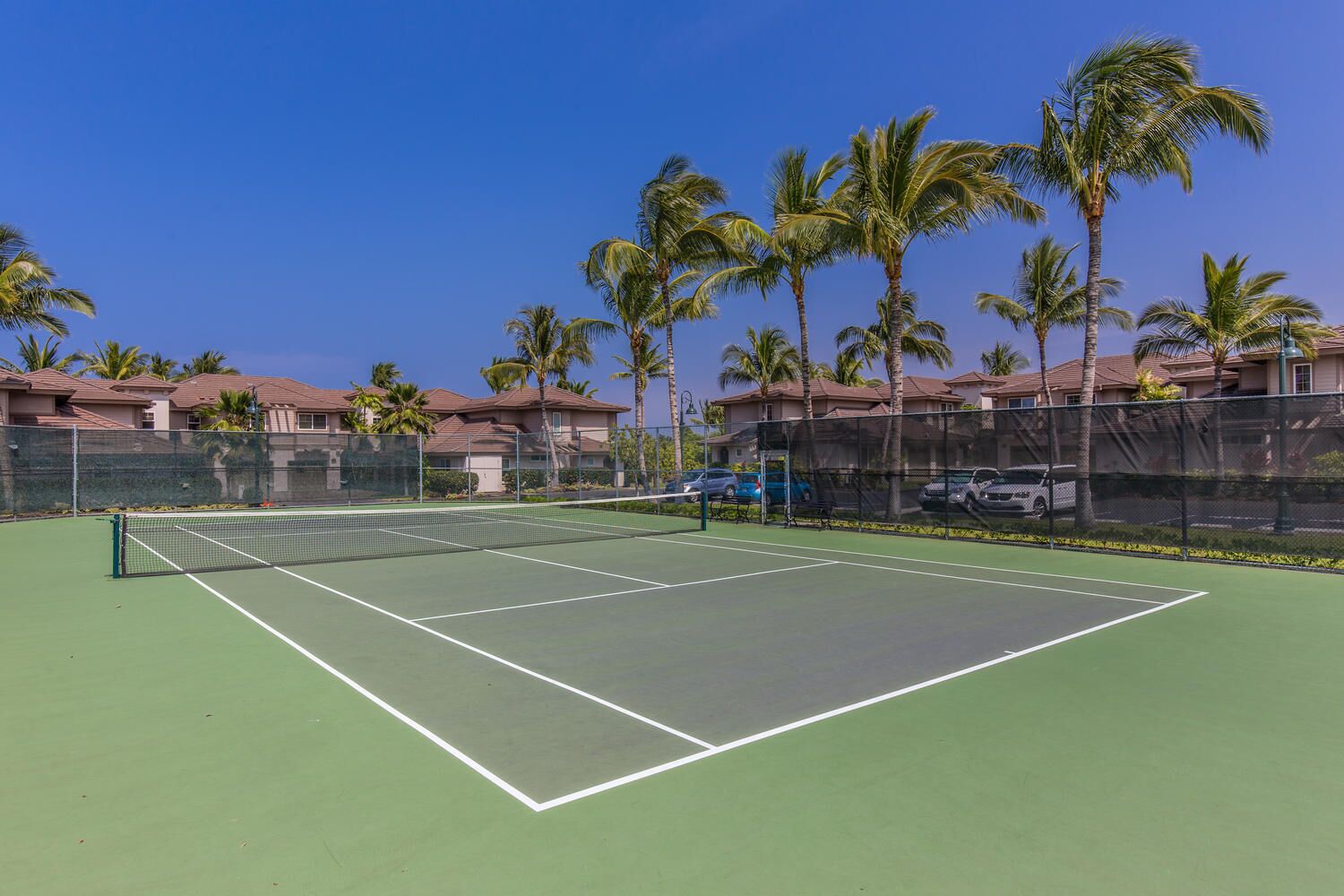 A tennis court with a net, surrounded by palm trees and houses.