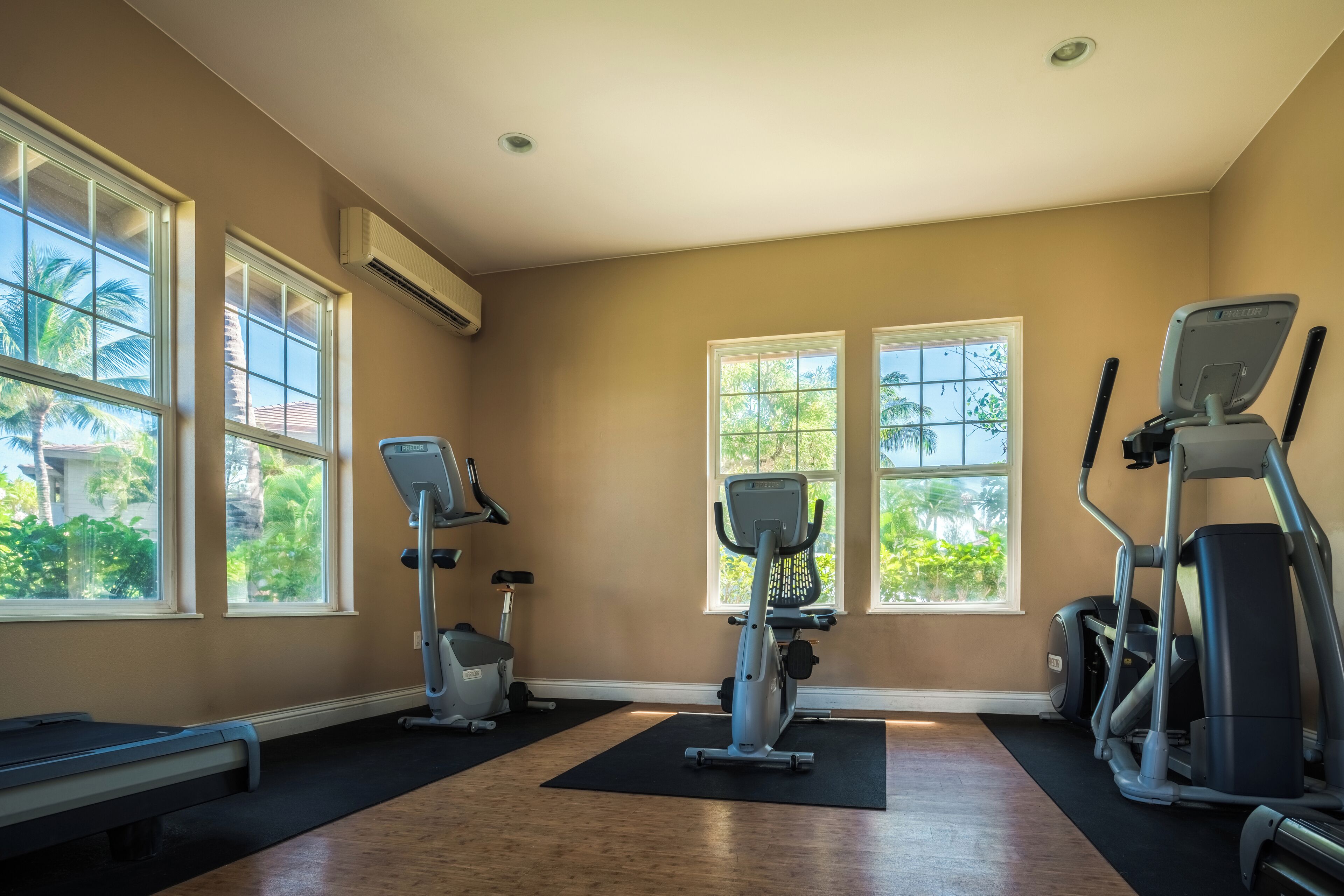 A gym with exercise equipment, large windows, and a wooden floor.