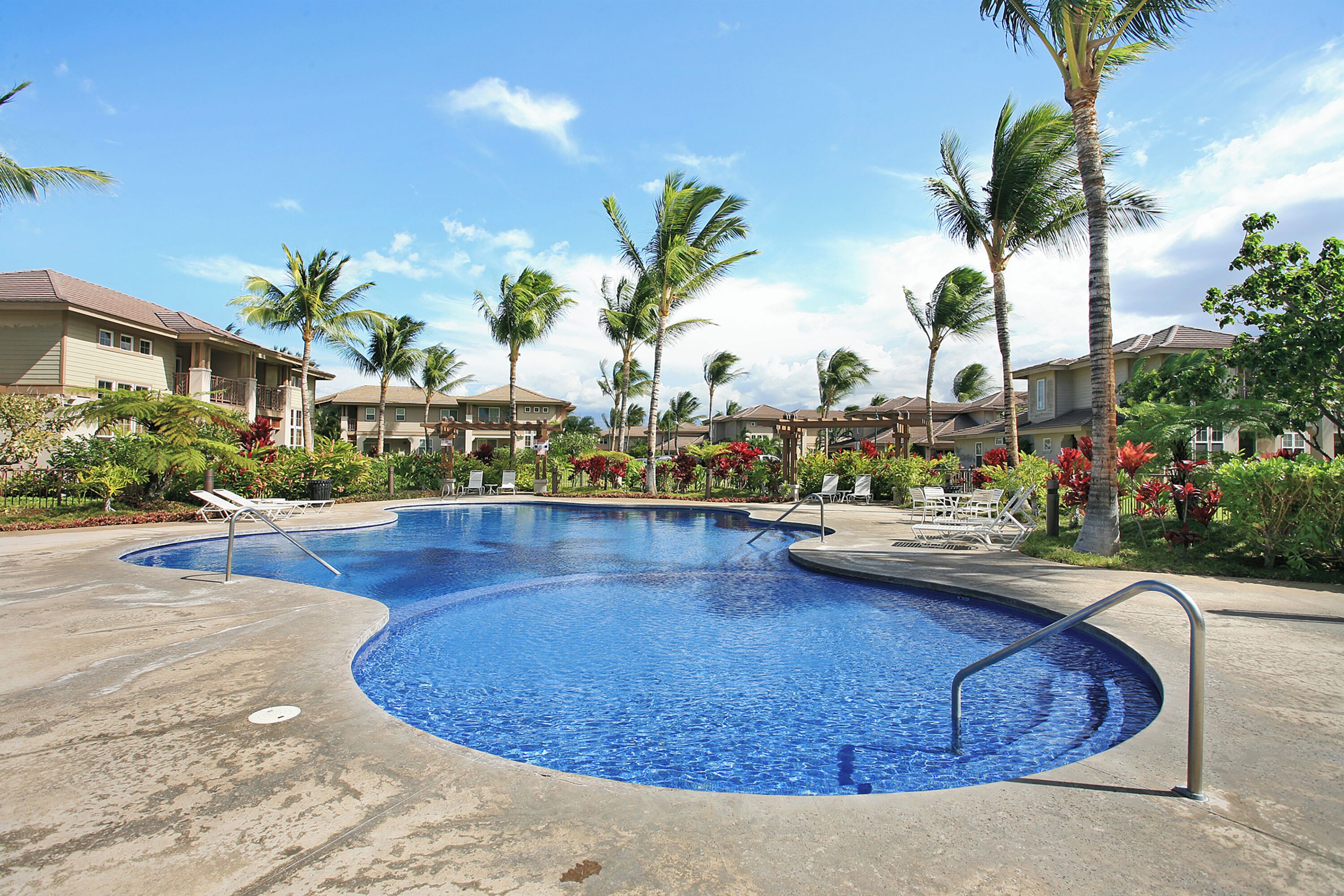 A swimming pool with a curved design, surrounded by palm trees and red flowers, with buildings in the background.