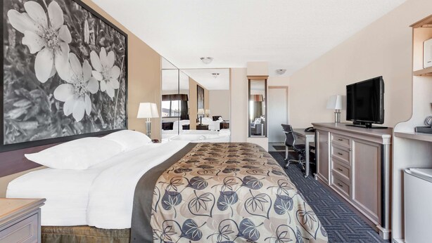 Una habitación de hotel con una cama grande, un escritorio, un televisor y un espejo.