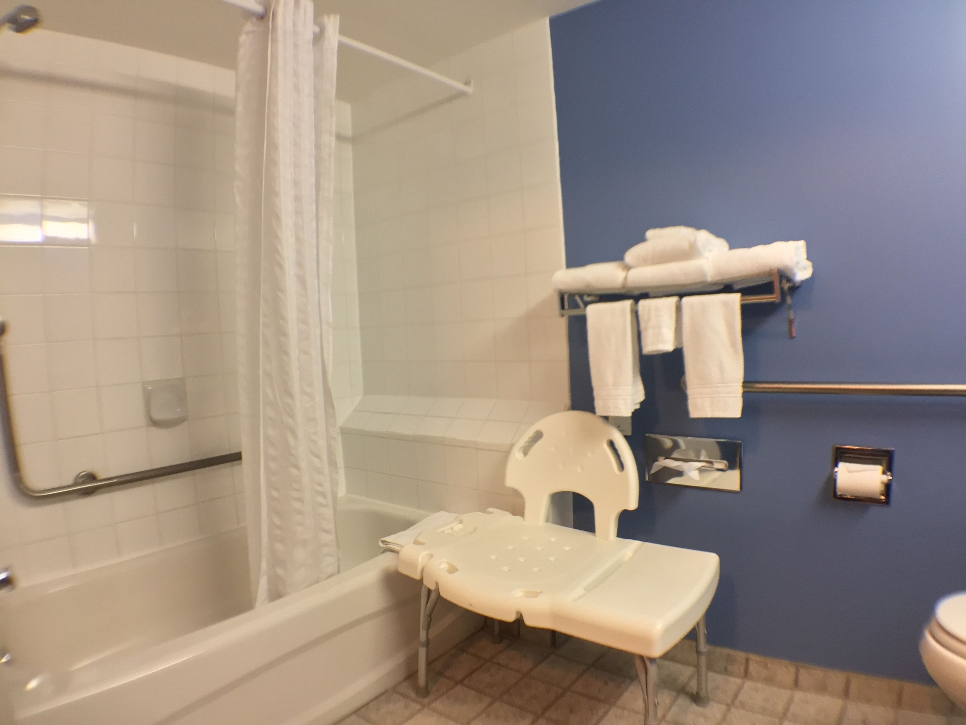 room, 1 king bed, accessible, non smoking (mobility accessible) | bathroom | free toiletries, hair dryer, towels