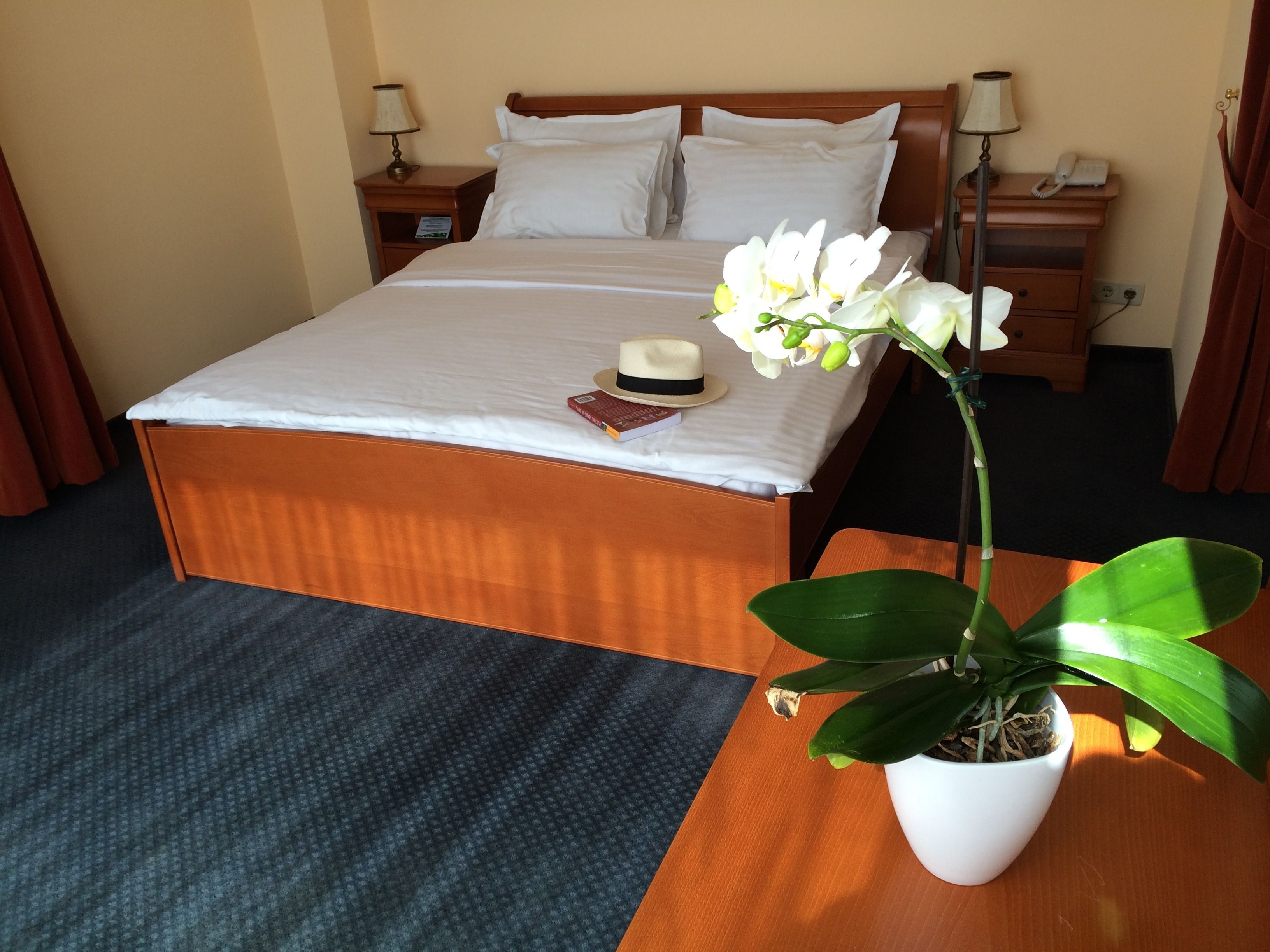 hypo-allergenic bedding, select comfort beds, minibar, in-room safe