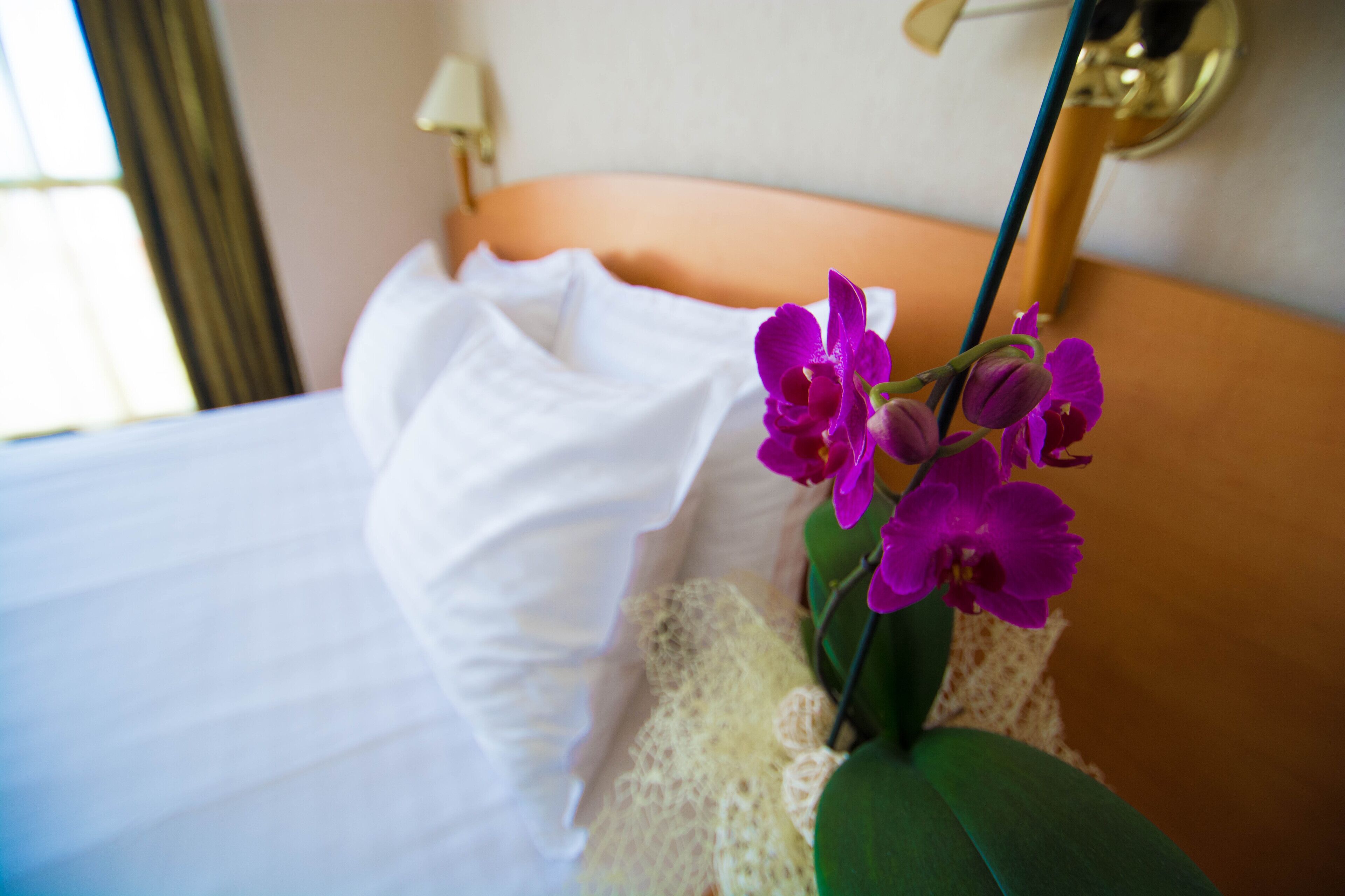 hypo-allergenic bedding, select comfort beds, minibar, in-room safe