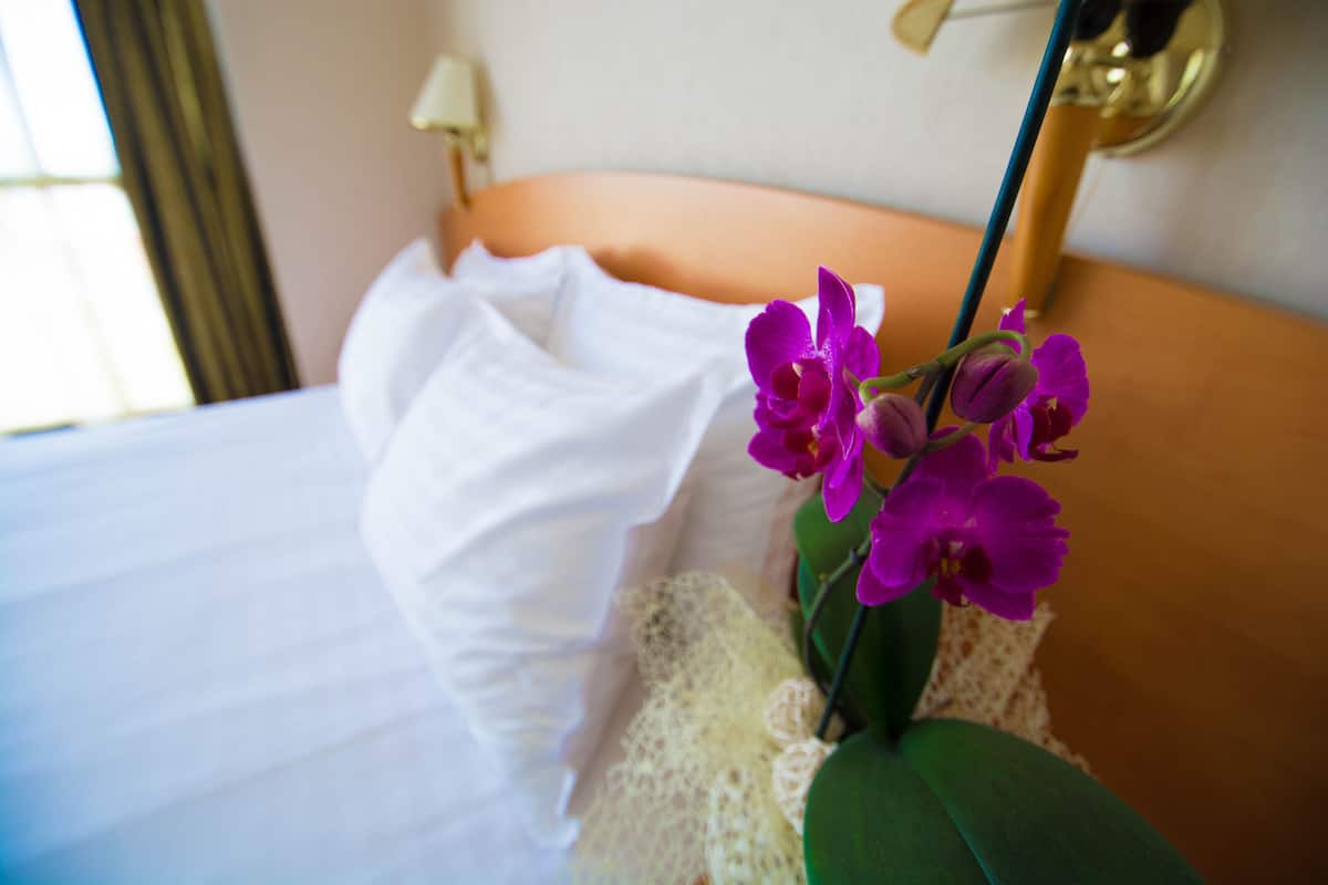 hypo-allergenic bedding, select comfort beds, minibar, in-room safe