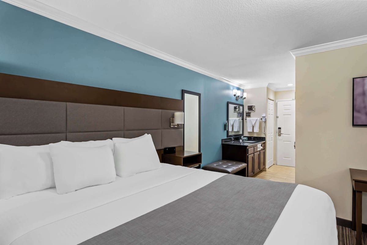 standard room, 1 king bed with sofa bed, non smoking, refrigerator & microwave (with sofabed) | desk, iron/ironing board, free cots/infant beds, rollaway beds