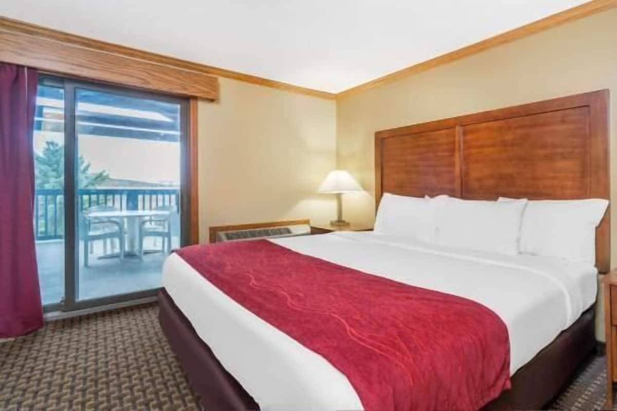 A hotel room with a bed, a nightstand, a lamp, a window, and a view of the outdoors.