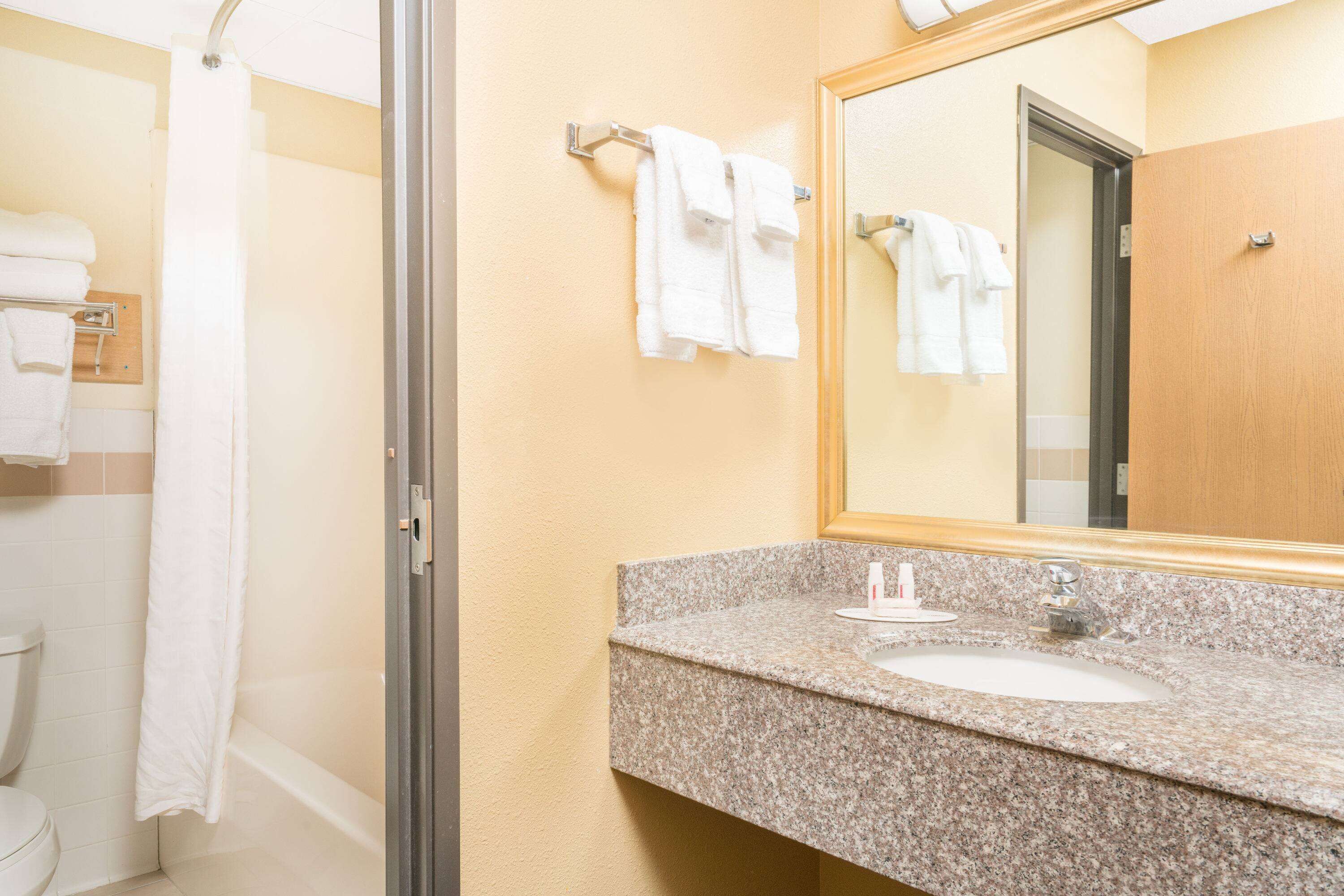 A bathroom with a shower, a sink, and a mirror.