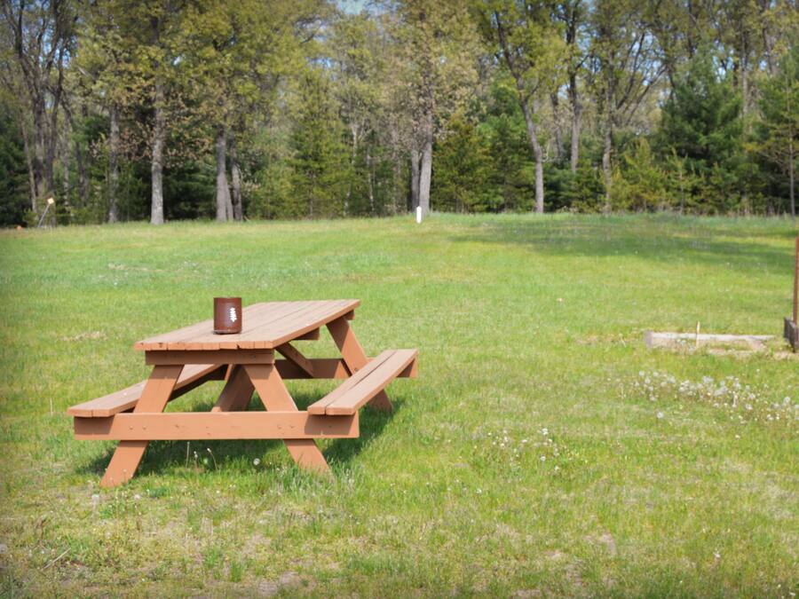Et picnicbord i en græsmark med træer i baggrunden.