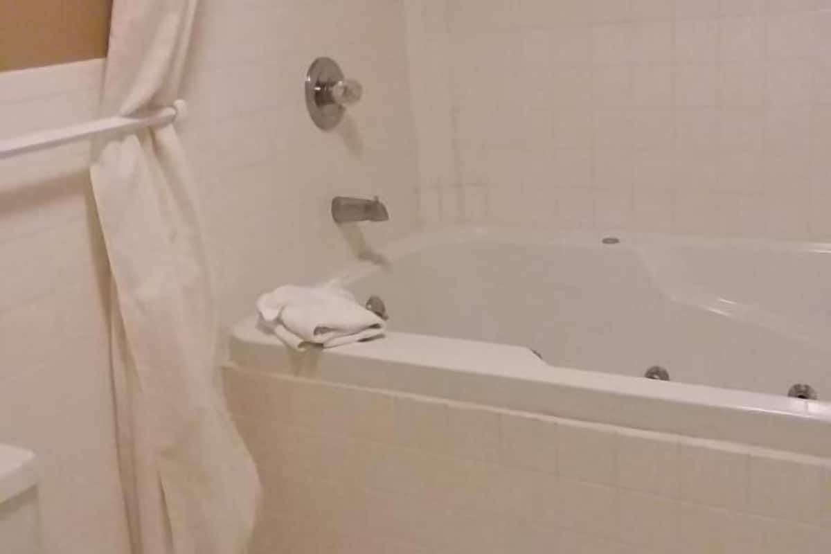 deluxe suite, 1 king bed, non smoking | bathroom | combined shower/bathtub, hair dryer, towels