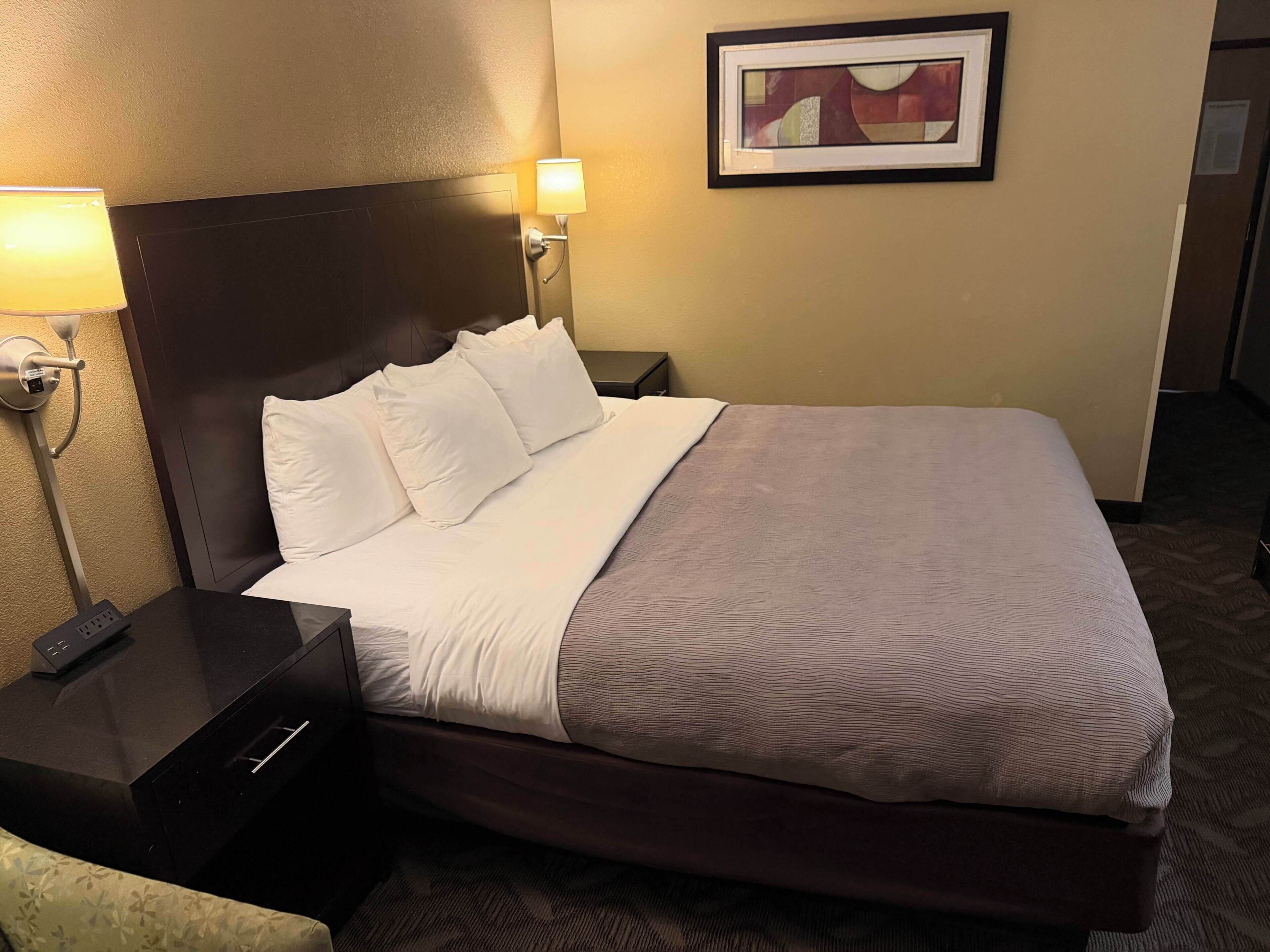 Una habitación de hotel con una cama, lámparas de noche, una mesita de noche y un cuadro en la pared.