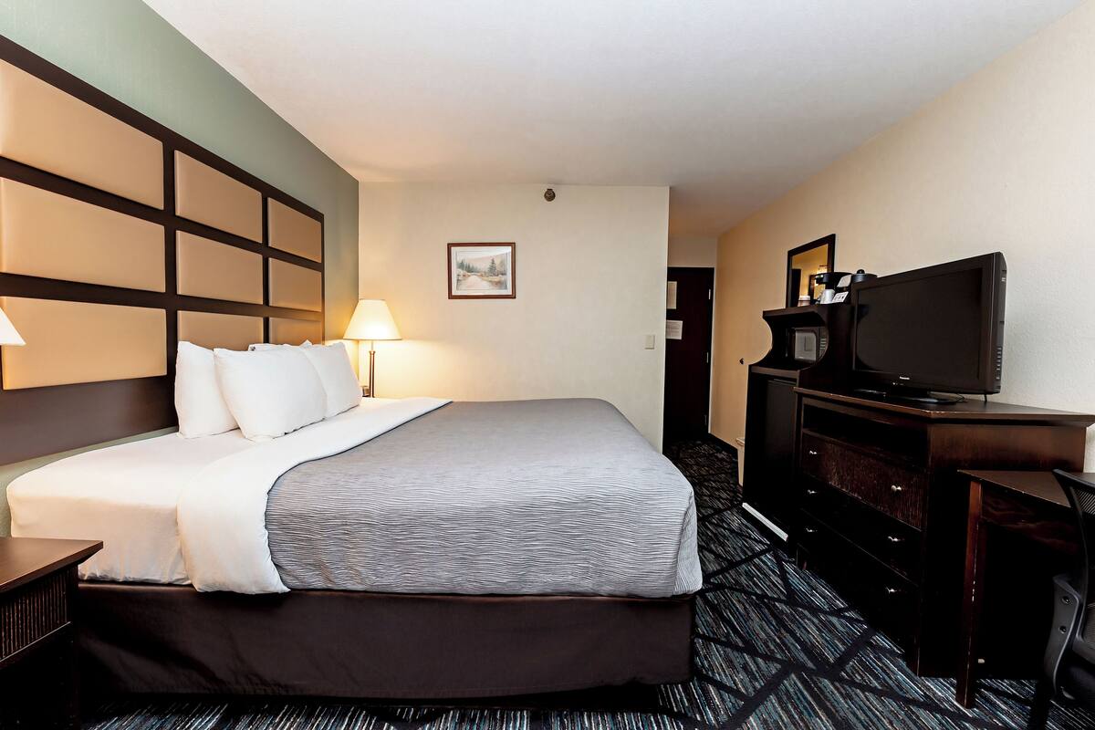 Een hotelkamer met een bed, bureau, televisie en lamp.