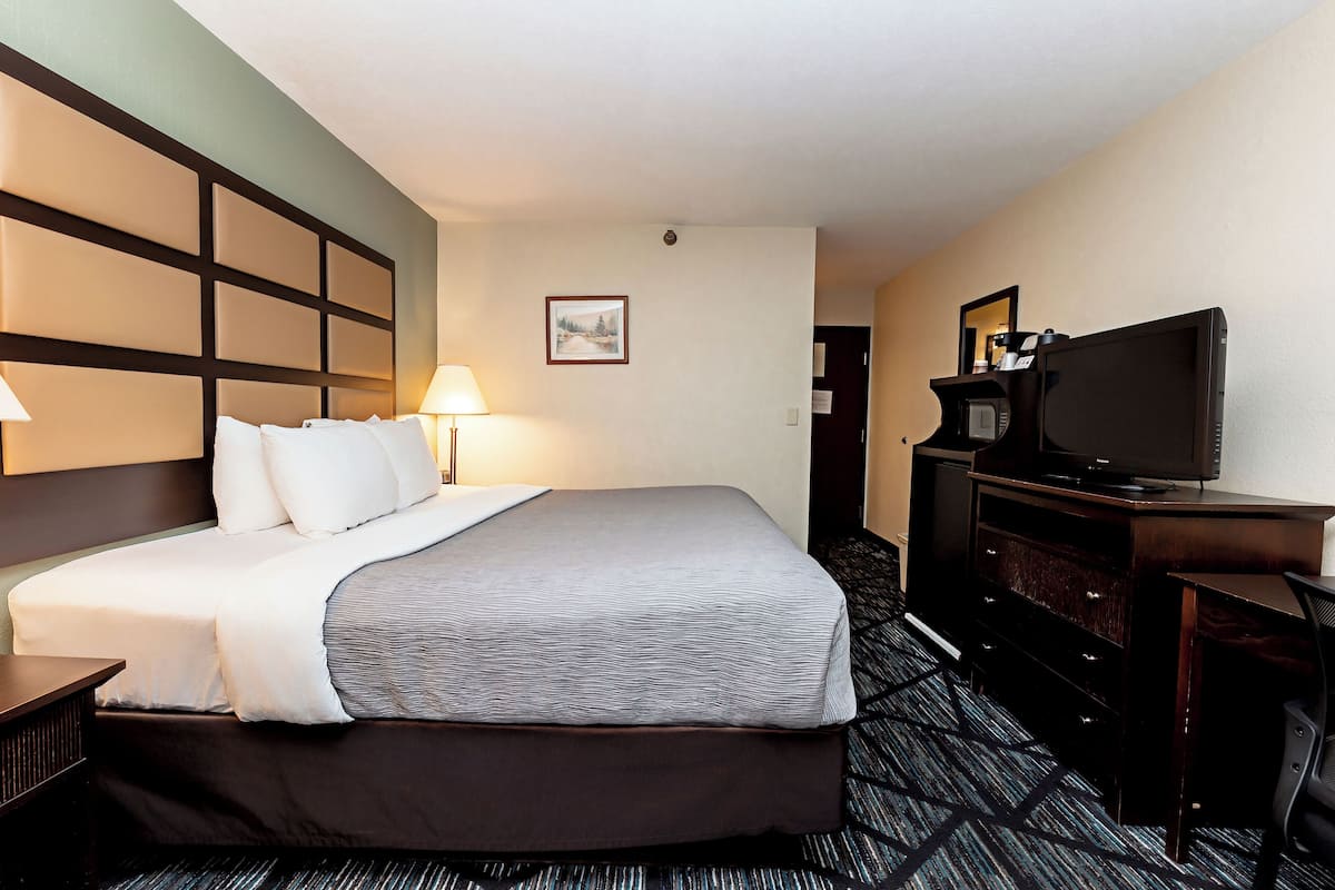 Una habitación de hotel con cama, escritorio, televisor y lámpara.