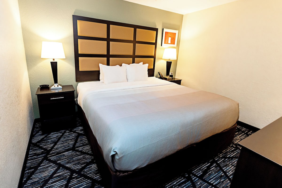 Een hotelkamer met een groot bed, twee nachtkastjes met lampen, een hoofdbord en een kamerbreed tapijt met een patroon.