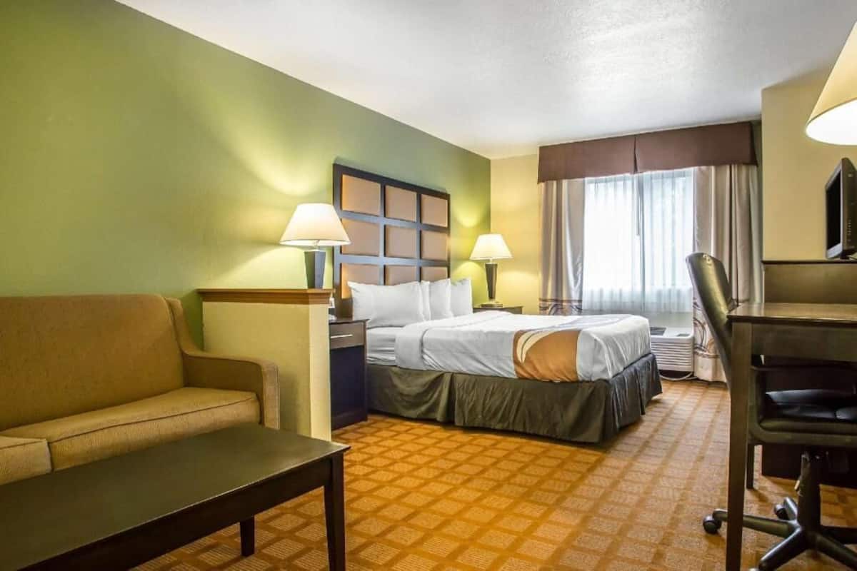 A hotel room with a bed, a desk, a chair, a sofa, and a TV.