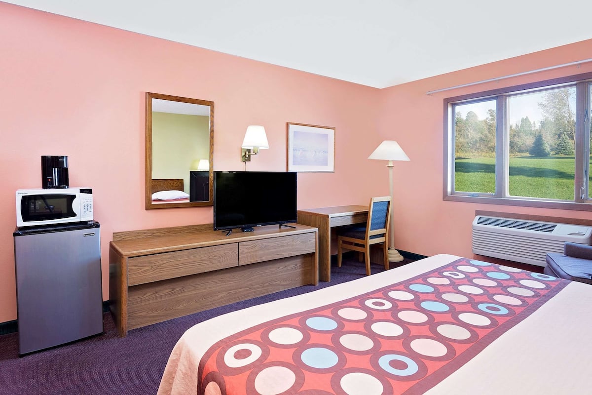 Habitación de hotel con cama, escritorio, silla, televisión, microondas y ventana con vista a zonas verdes.