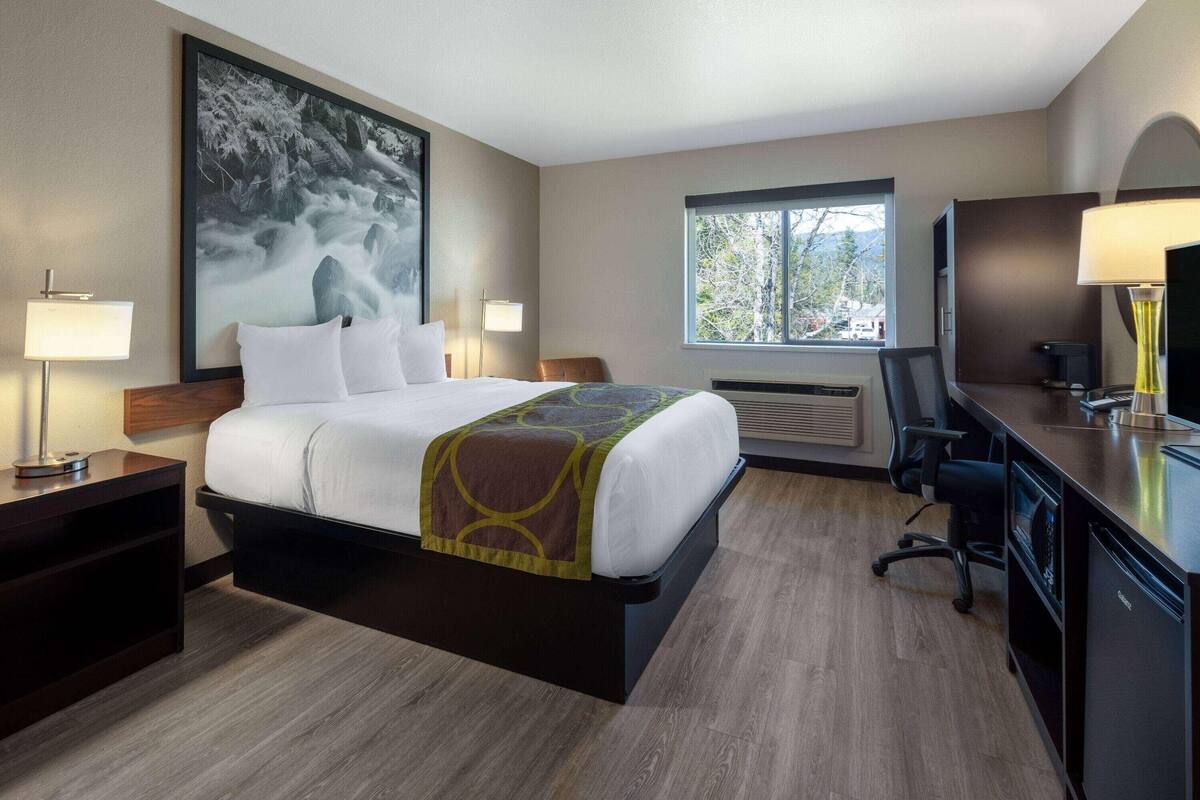 A hotel room with a large bed, a desk, a chair, a TV, and a window with a view of trees.