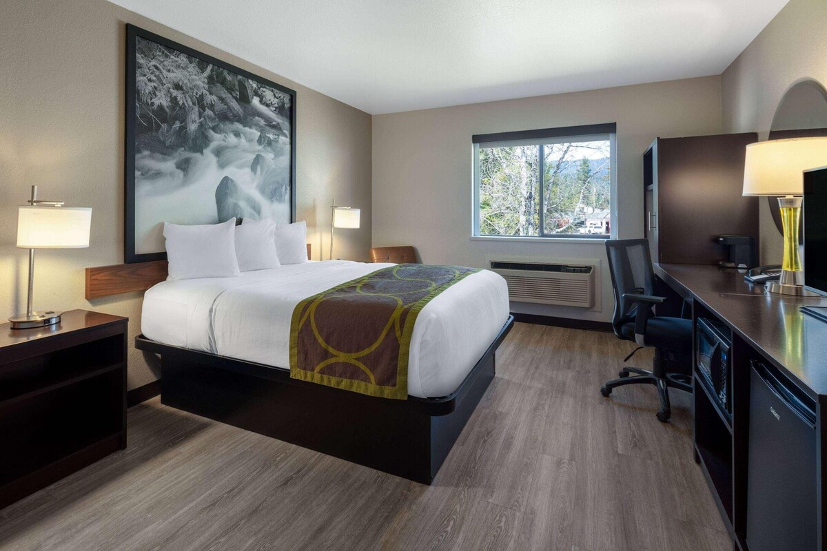 A hotel room with a large bed, a desk, a chair, a TV, and a window with a view of trees.