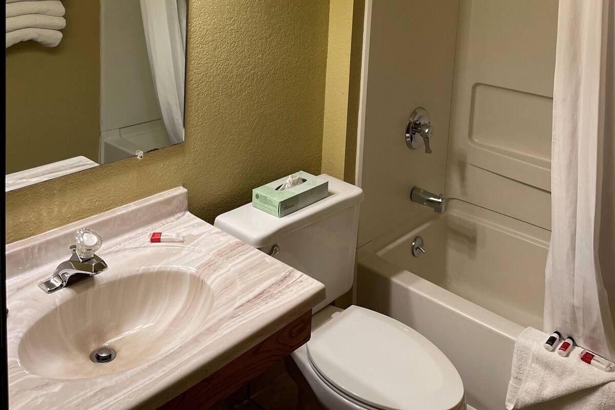 Une salle de bain avec un lavabo, des toilettes et une douche.
