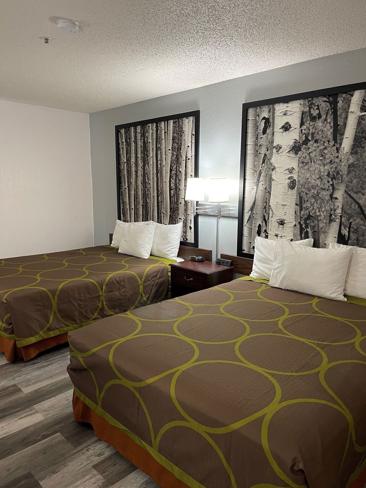 Hypo-allergenic bedding, in-room safe, desk, blackout curtains