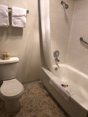 Combined shower/tub, free toiletries, hair dryer, towels