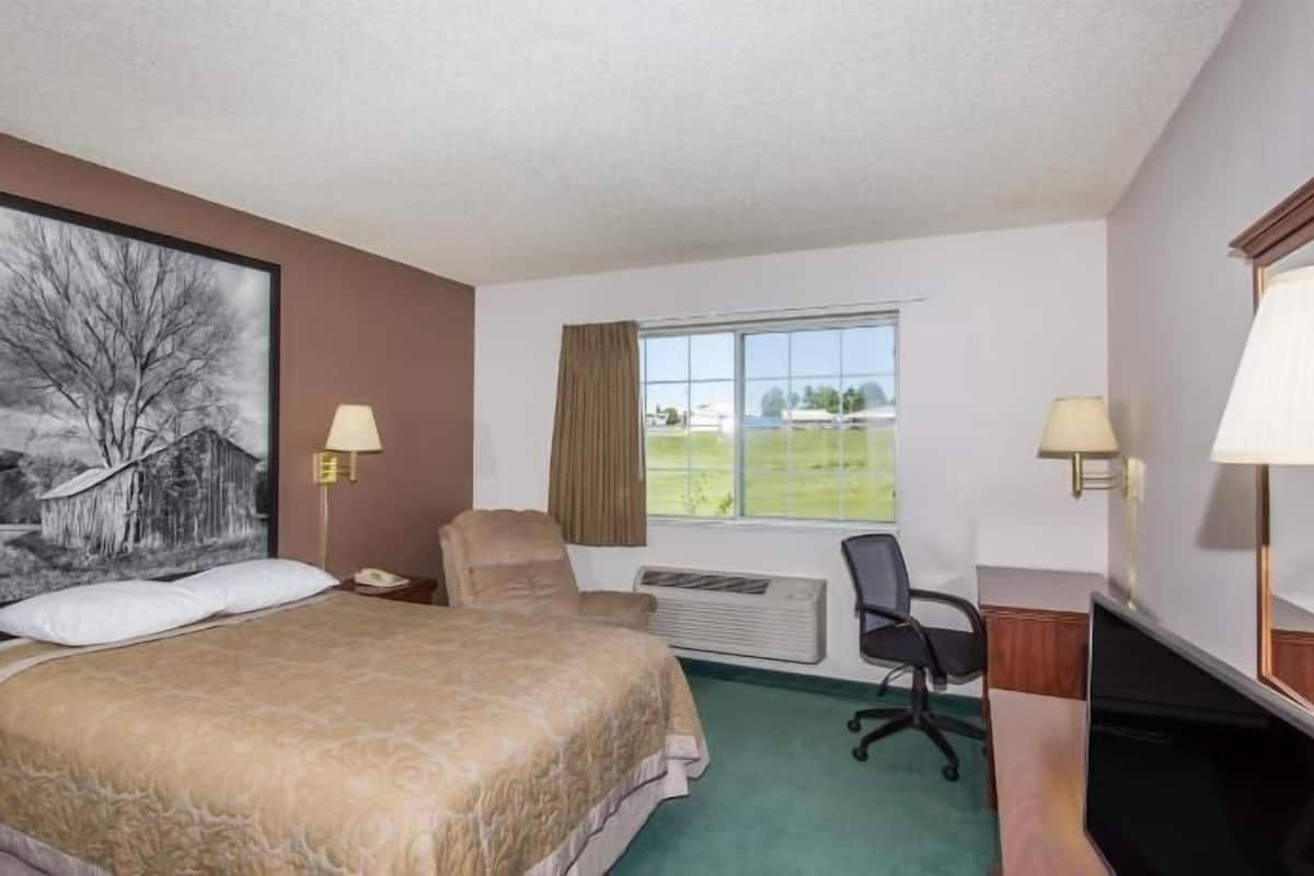 A hotel room with a large bed, a desk, a chair, a television, and a window with a view of a field.