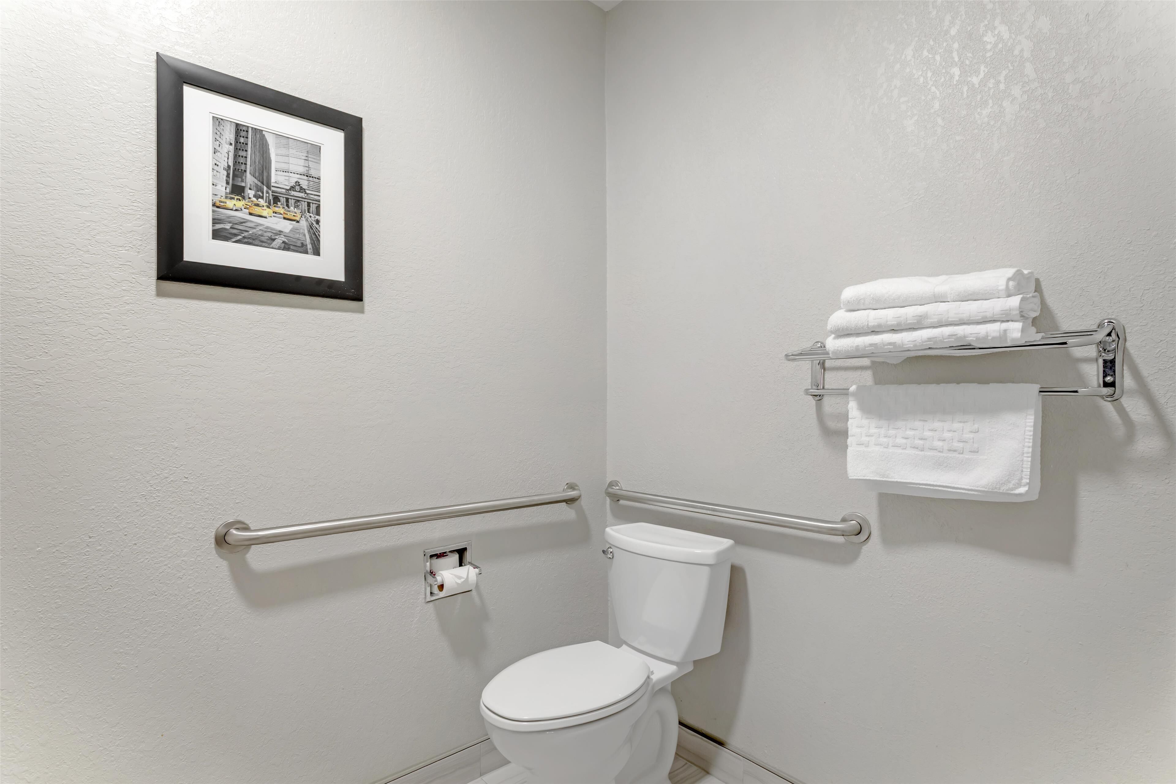 standard room, 1 king bed, accessible, non smoking | bathroom | free toiletries, hair dryer, towels, soap