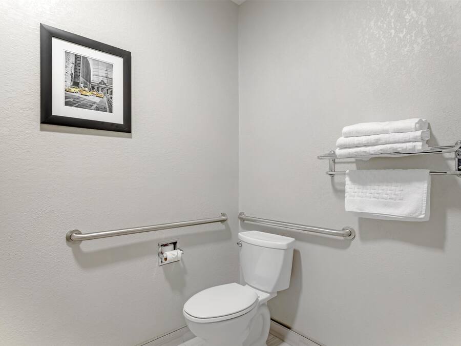Ein Badezimmer mit einer weißen Toilette, Haltegriffen, einem gerahmten Bild an der Wand und einem Handtuchhalter mit gefalteten Handtüchern.