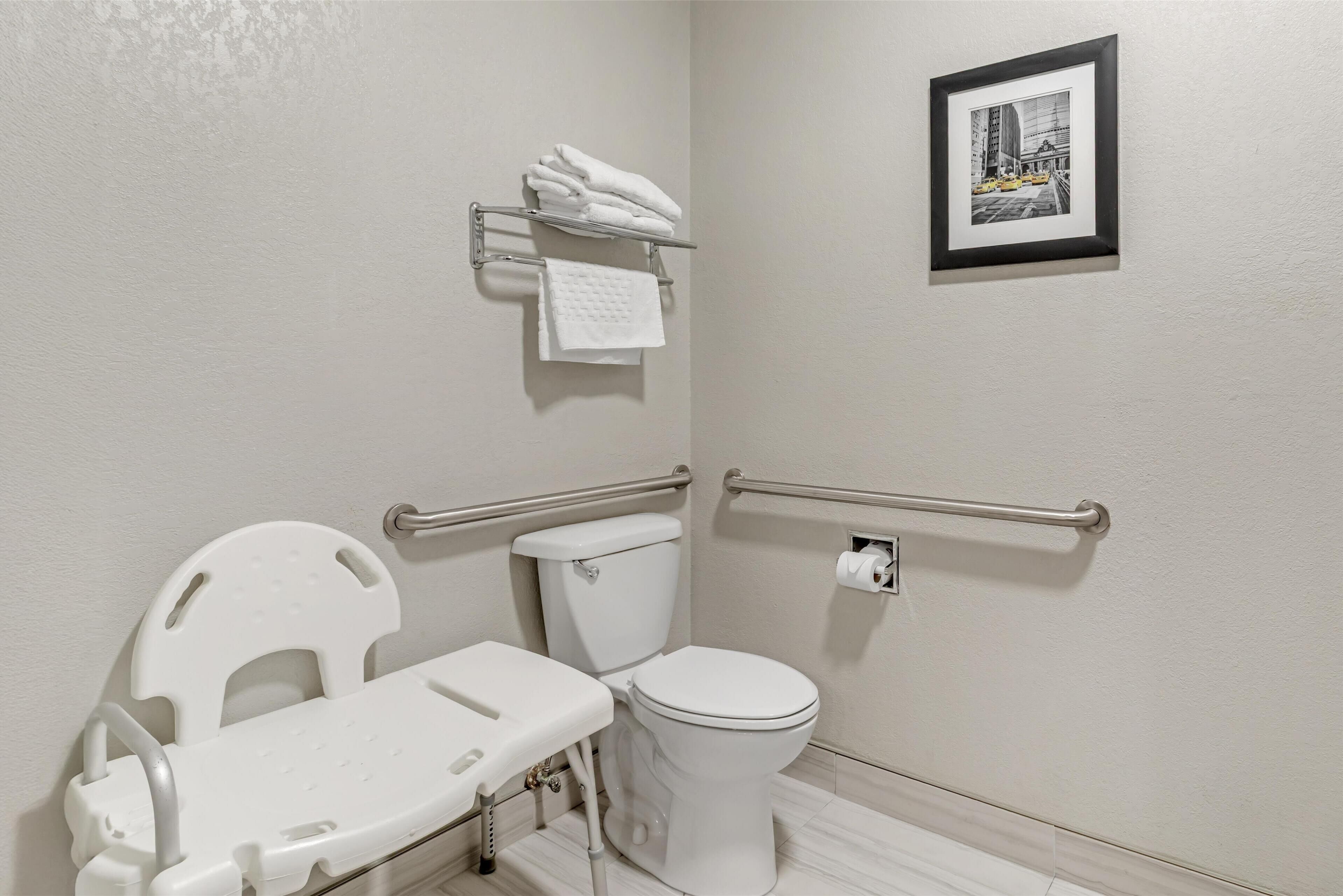 standard room, 1 king bed, accessible, non smoking | bathroom | free toiletries, hair dryer, towels, soap