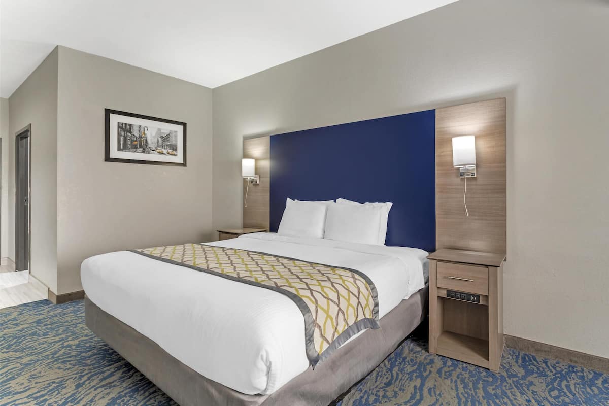 Standard Room, 1 King Bed, Accessible, Non Smoking | Desk, laptop workspace, blackout curtains, iron/ironing board