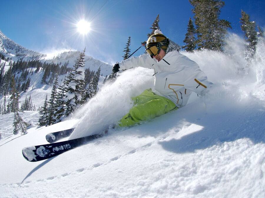 A person skiing down a snowy slope with trees and mountains in the background.