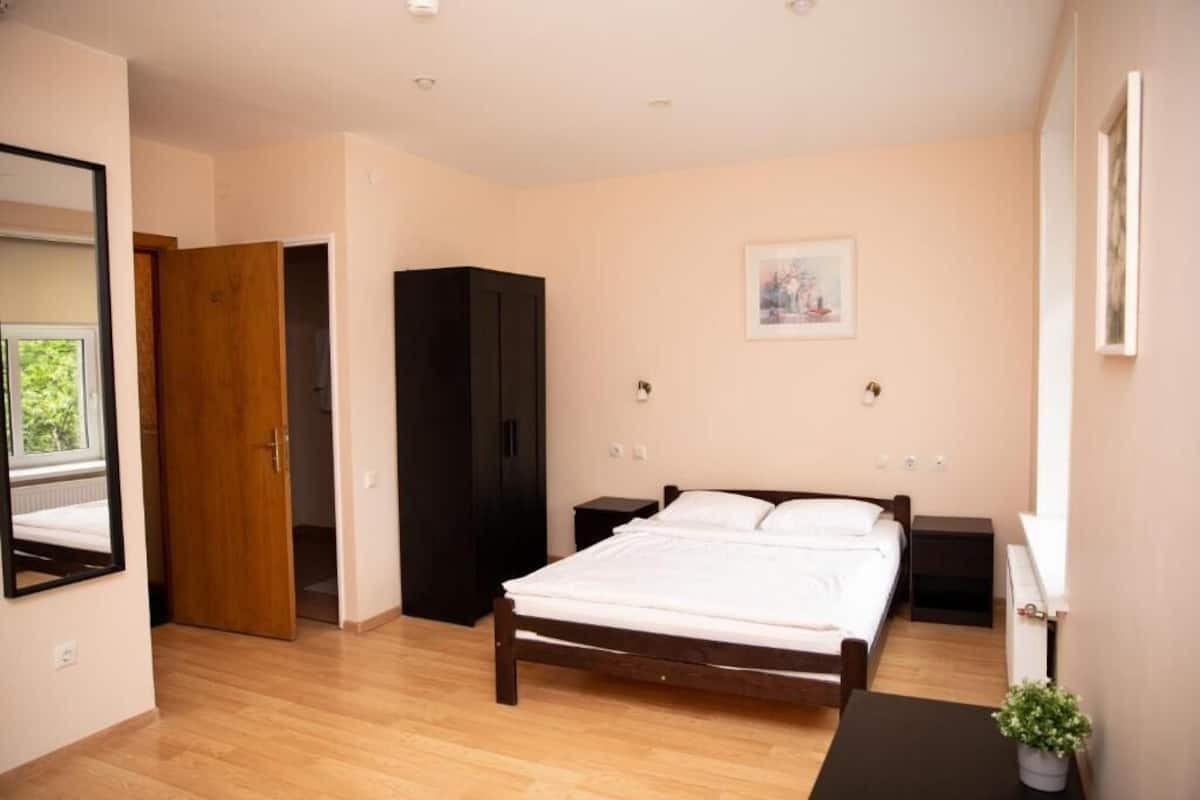 Standard Double or Twin Room | In-room safe, rollaway beds, free WiFi, bed sheets