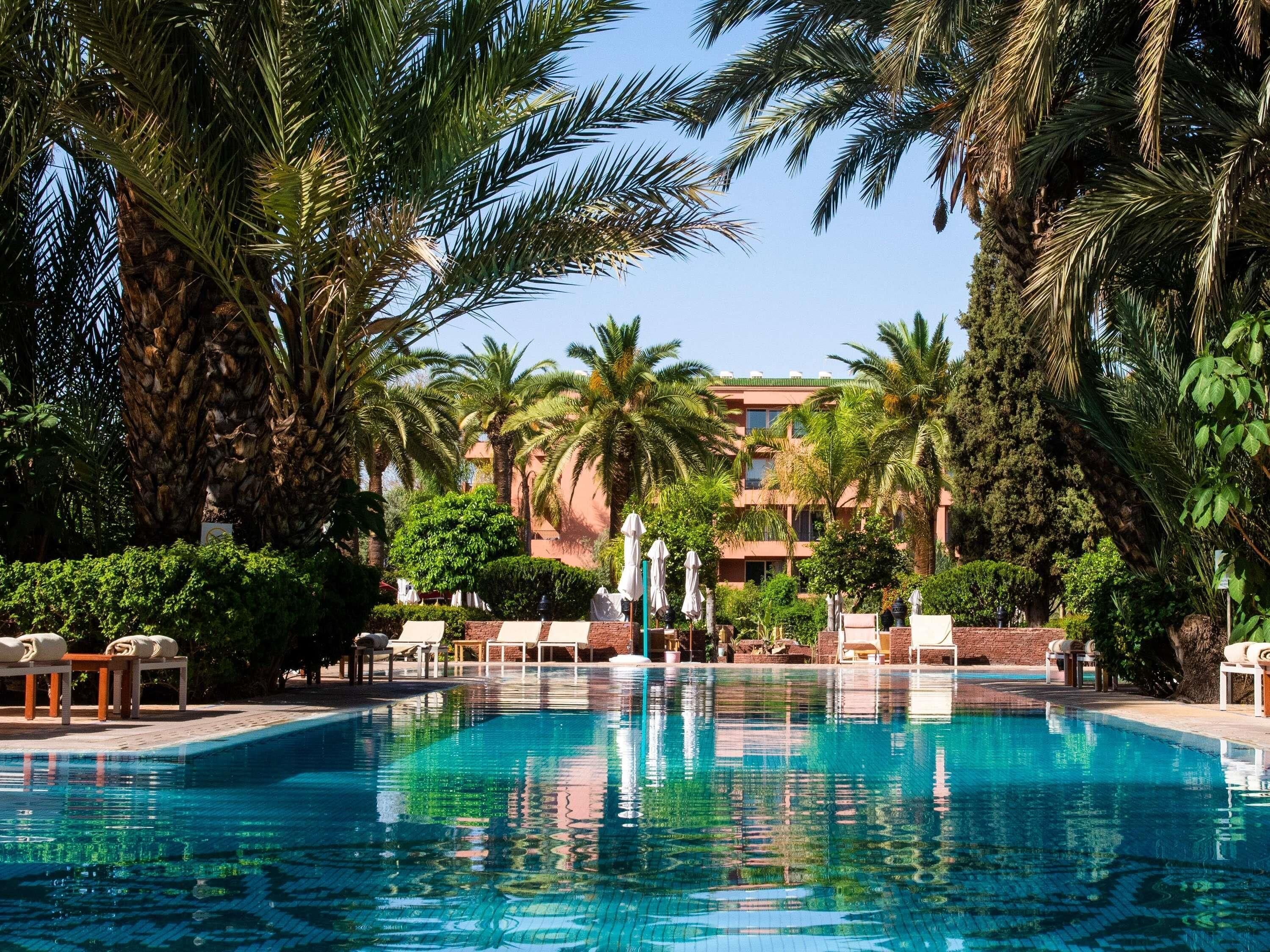 A swimming pool surrounded by palm trees and lounge chairs.