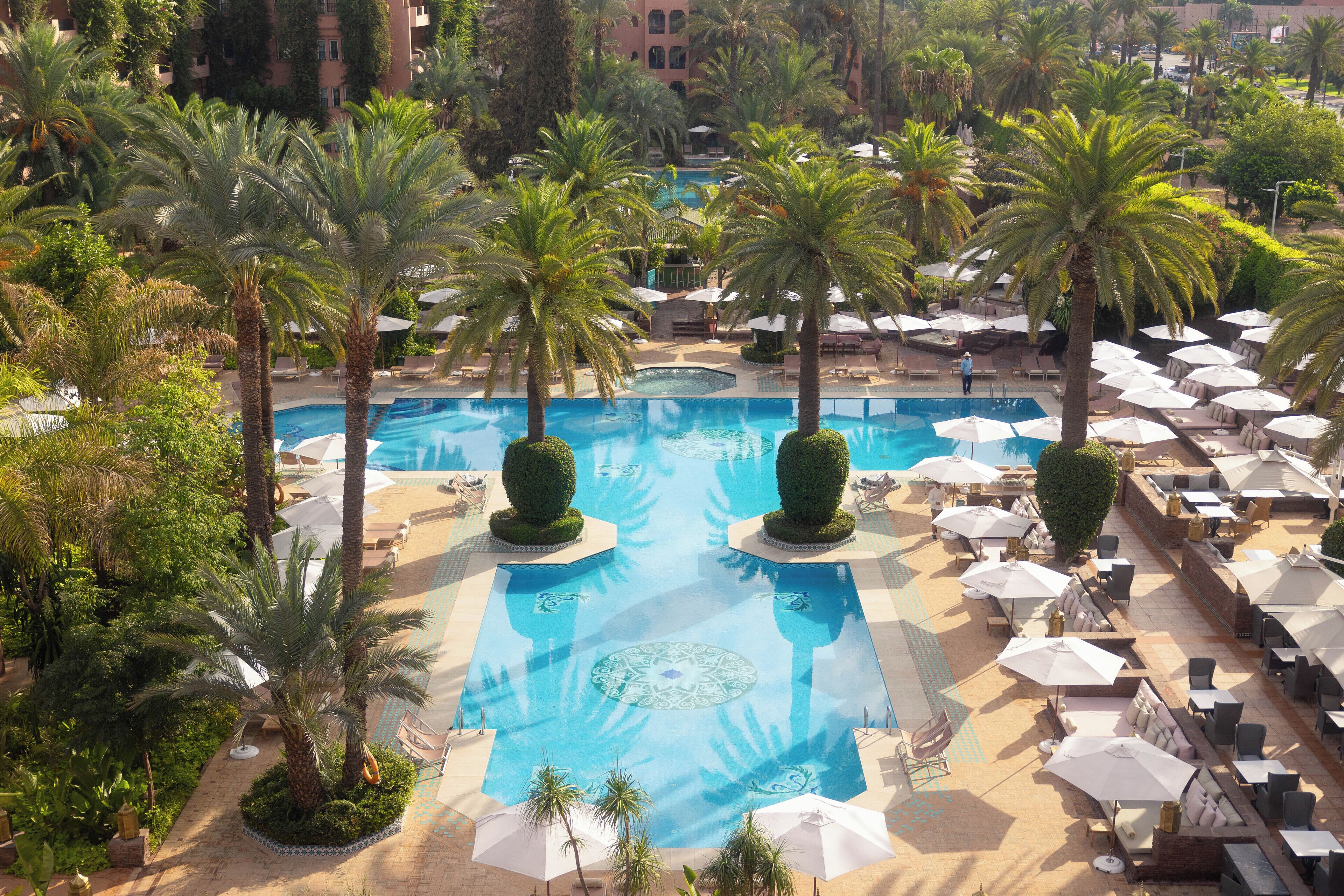 A large outdoor swimming pool surrounded by palm trees and sun loungers.
