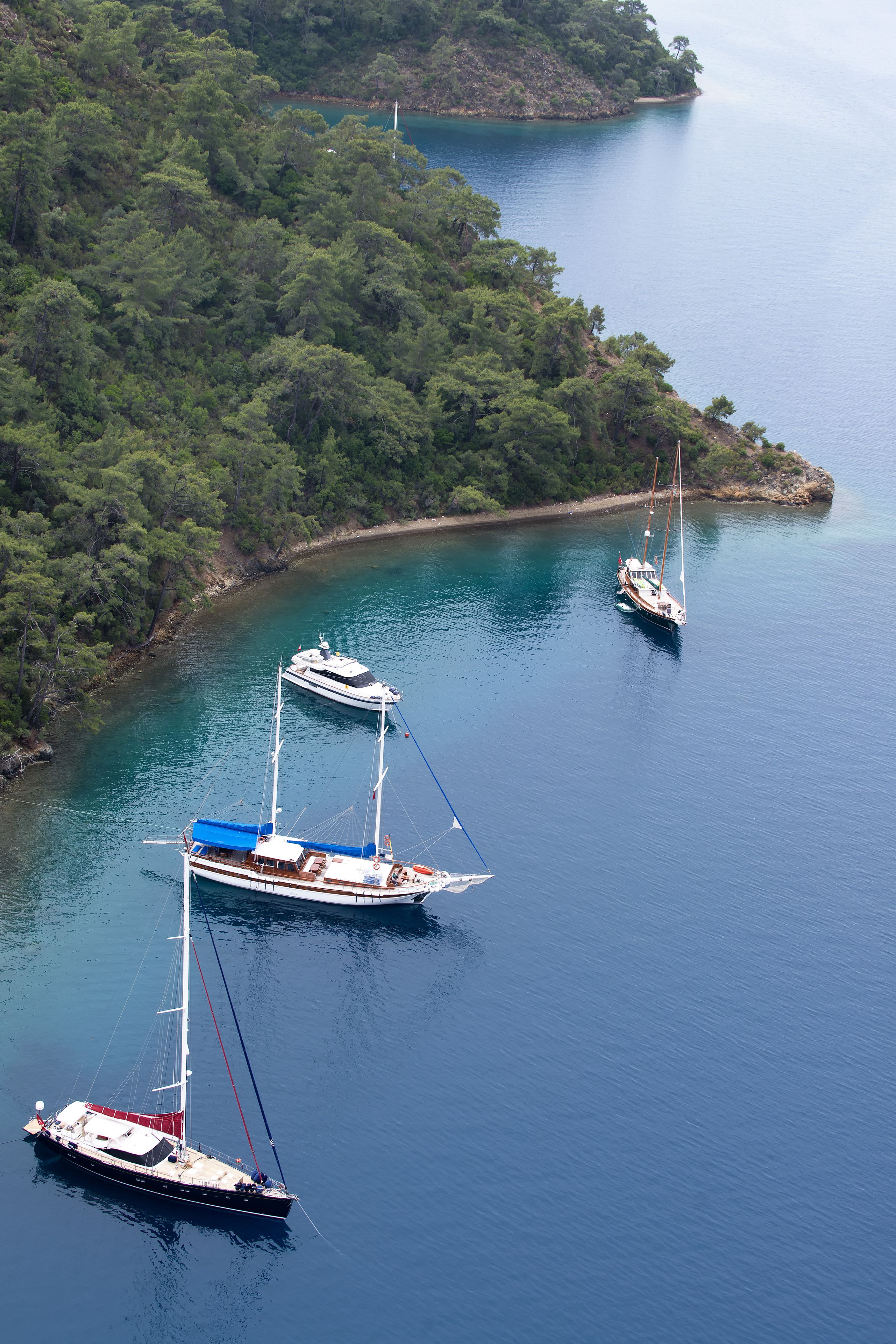 A coastal area with three sailboats anchored near a forested island.
