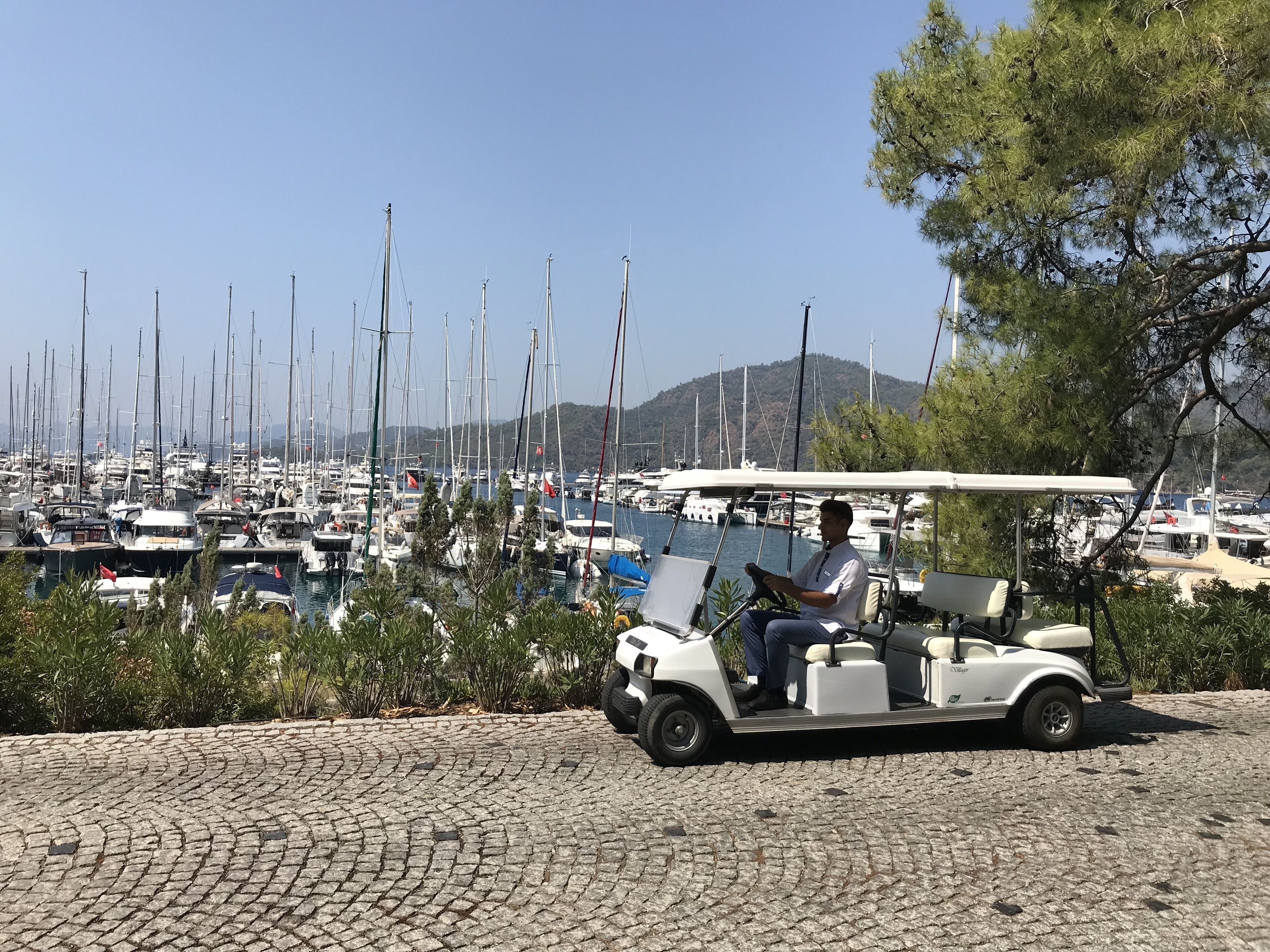 Un hombre conduce un carrito de golf por un camino adoquinado, con un puerto deportivo lleno de veleros al fondo.