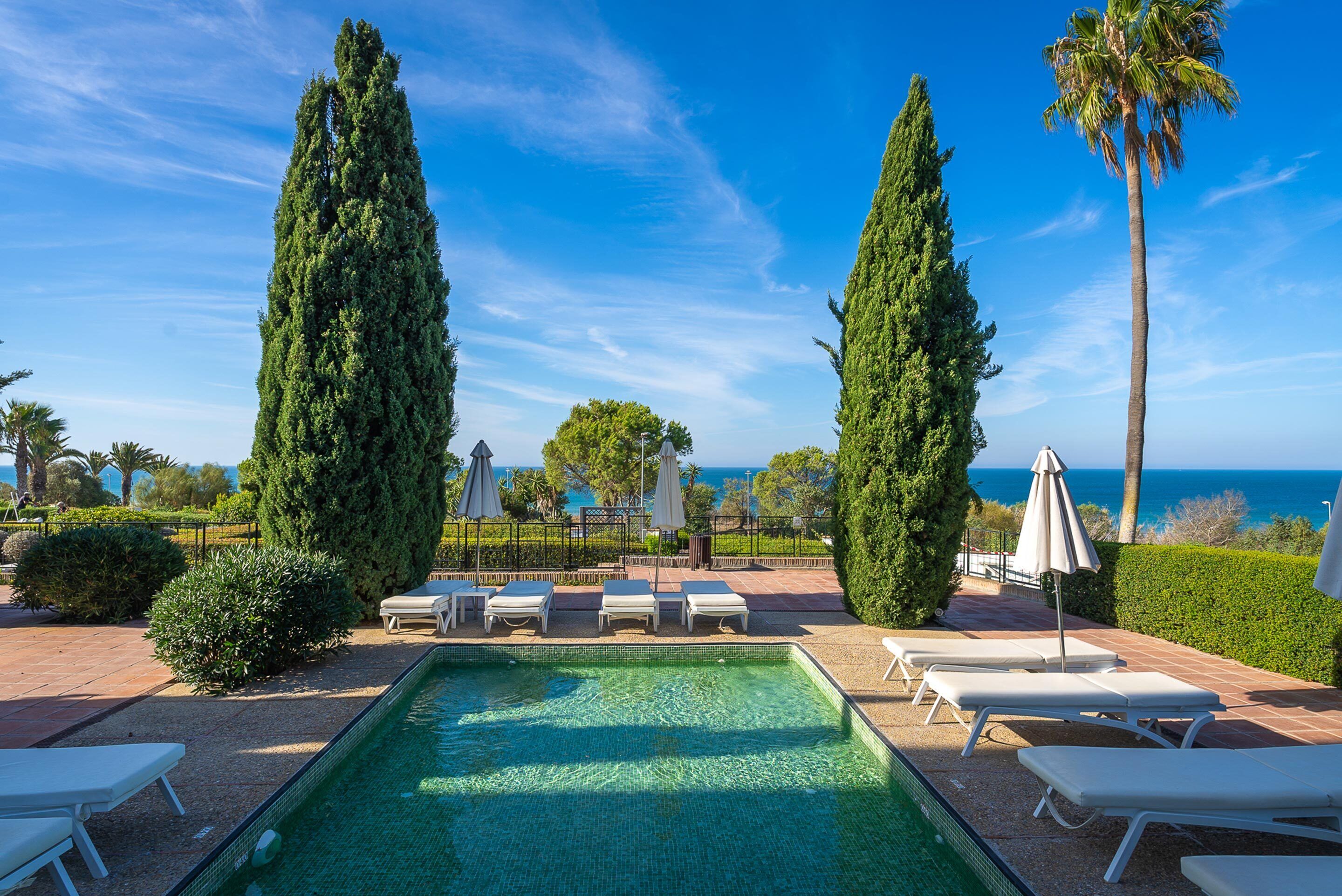 A swimming pool with lounge chairs and umbrellas, surrounded by tall trees and a view of the ocean.