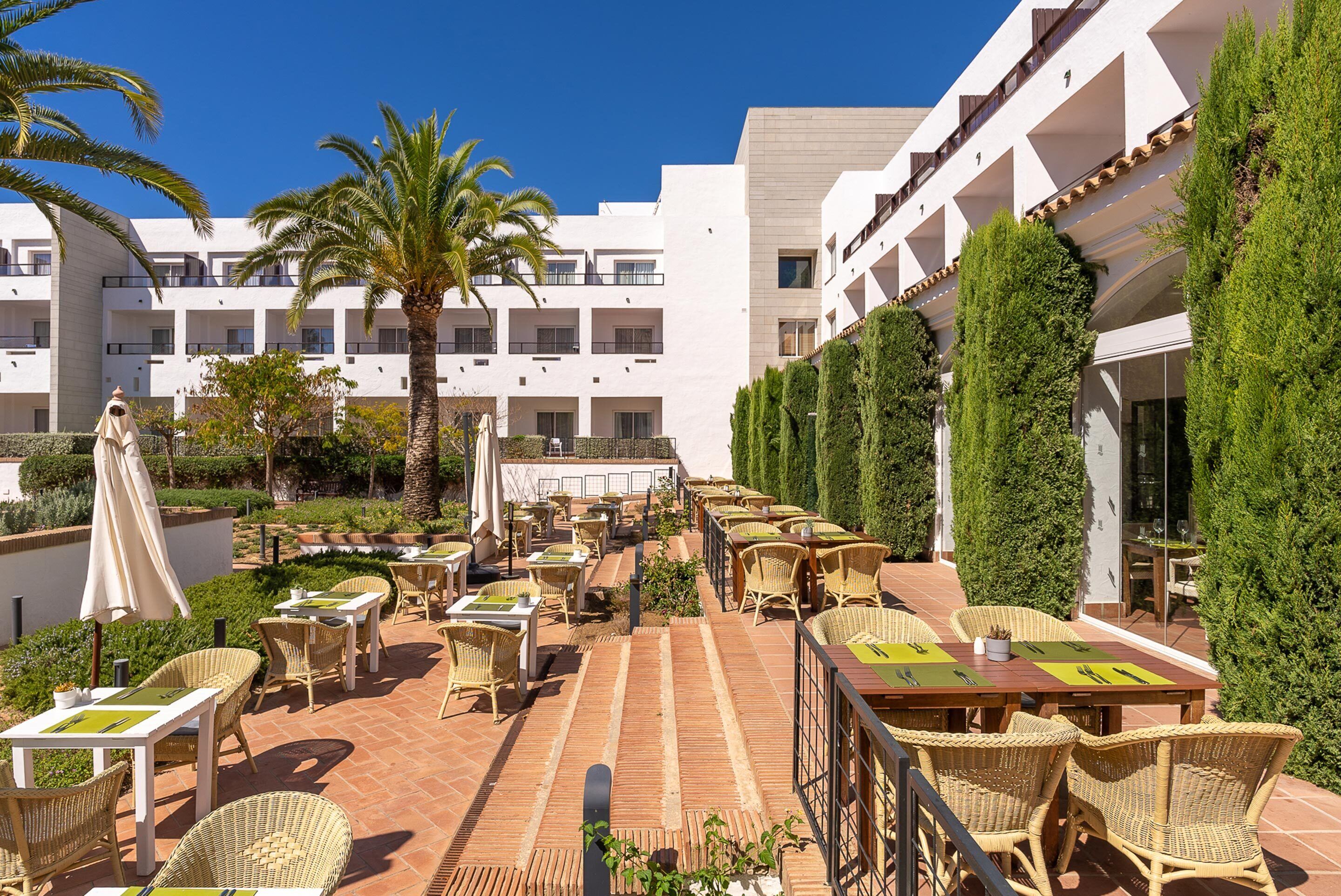 A rooftop patio with outdoor seating, palm trees, and a white building with balconies.