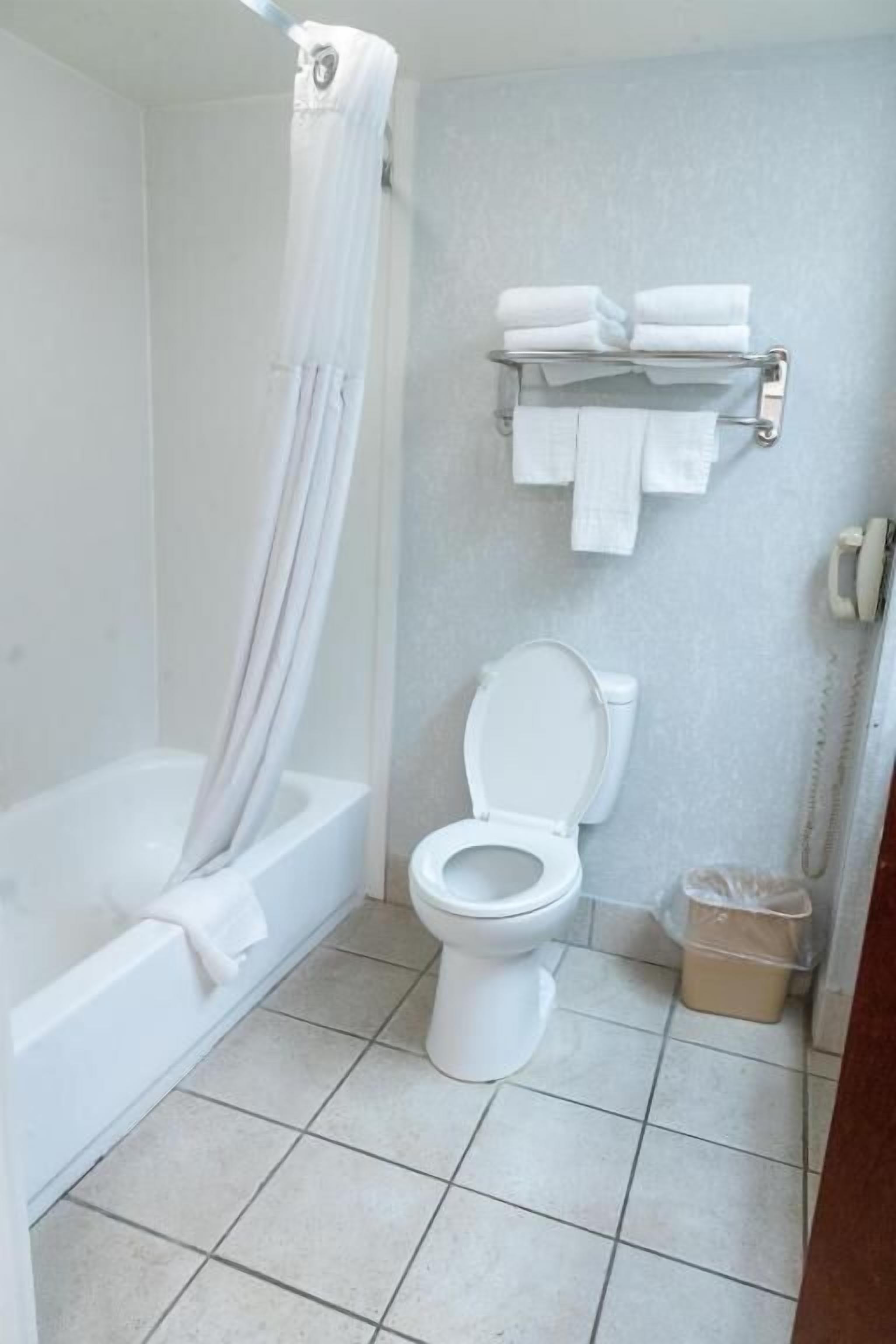 Een badkamer met een badkuip, toilet en douchegordijn.