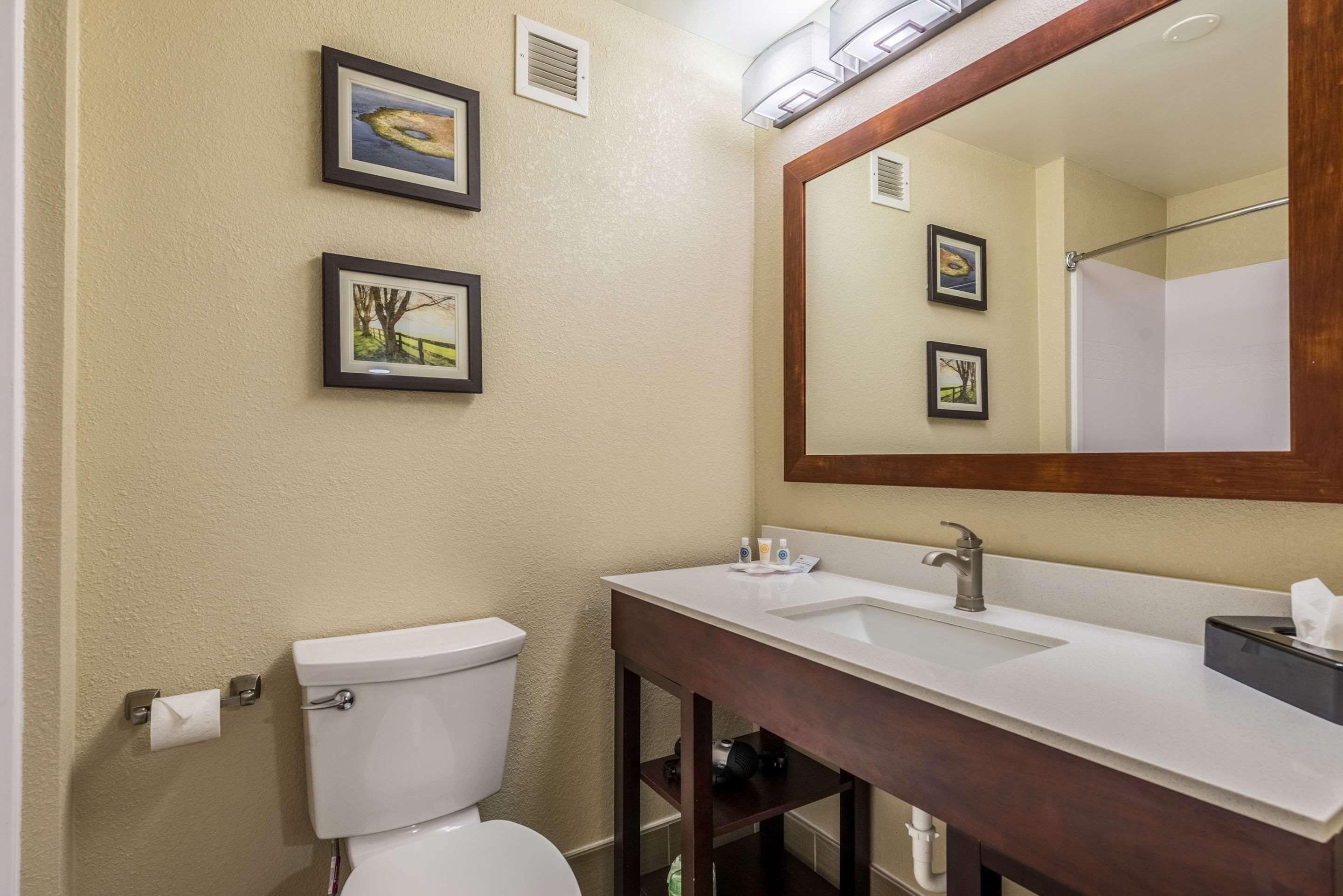 A bathroom with a toilet, sink, and mirror. There are framed pictures on the wall.