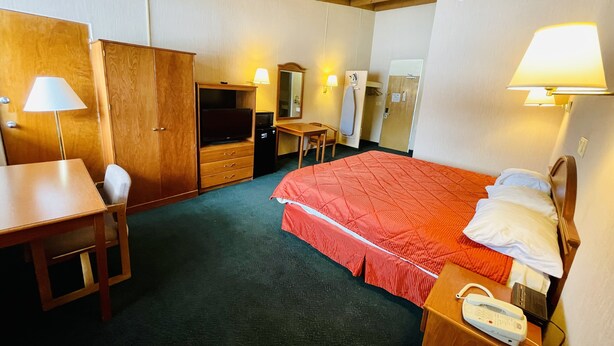 A hotel room with a bed, a desk, a TV, a wardrobe, and a mirror.