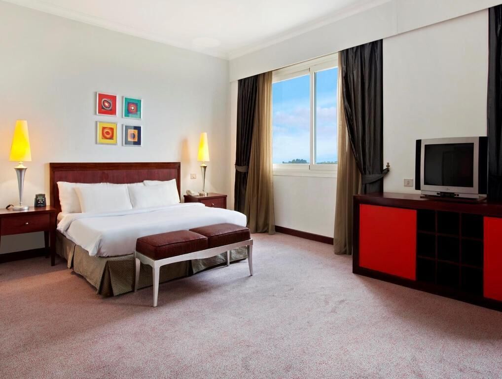 Hypo-allergenic bedding, down comforters, pillowtop beds, minibar
