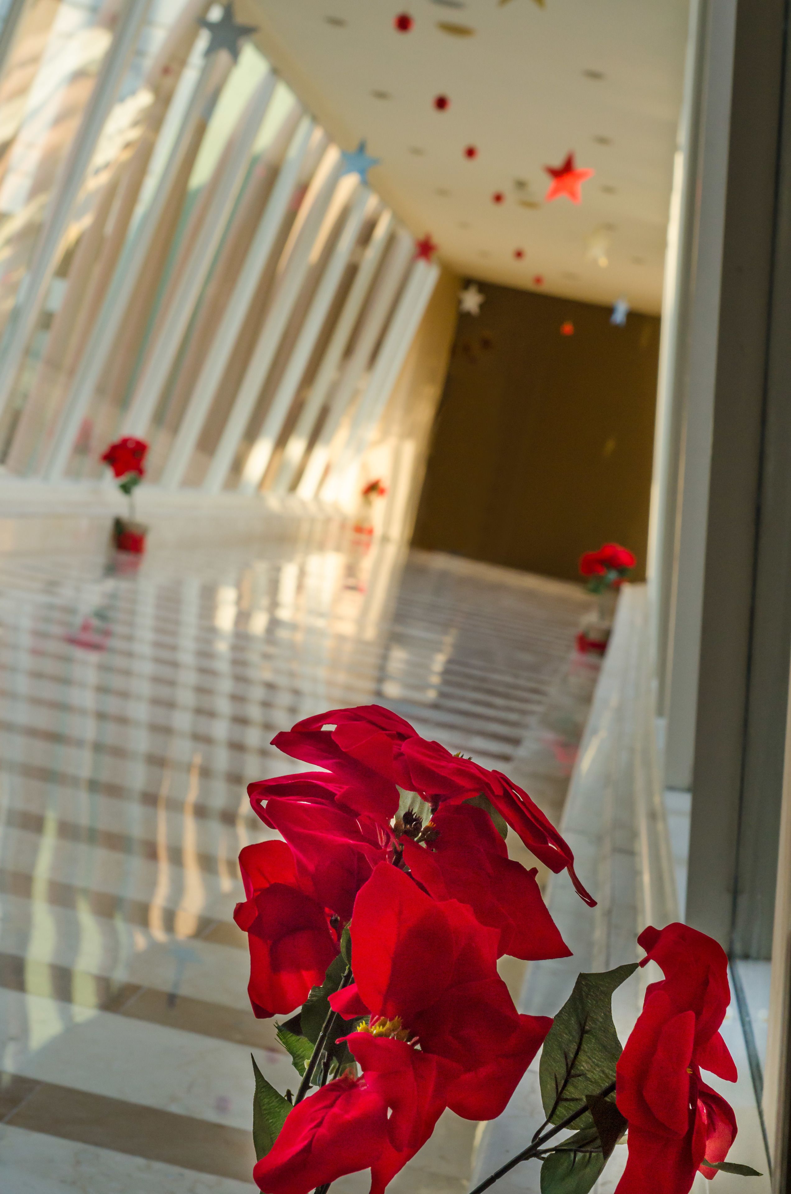 A corridor with a reflective floor and a ceiling with star decorations.