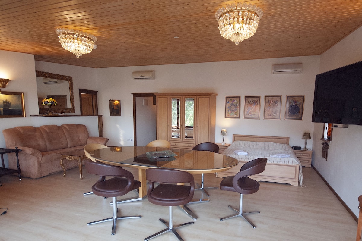 Studio Classique, baignoire, vue jardin | Coffres-forts dans les chambres, bureau, Wi-Fi gratuit