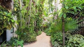 A concrete pathway flanked by dense tropical foliage, leading to a building entrance. - Kinbe Hotel Boutique (Playa del Carmen)