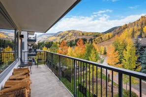 Apartamento, 3 habitaciones (Platinum) | Vistas del balcón
